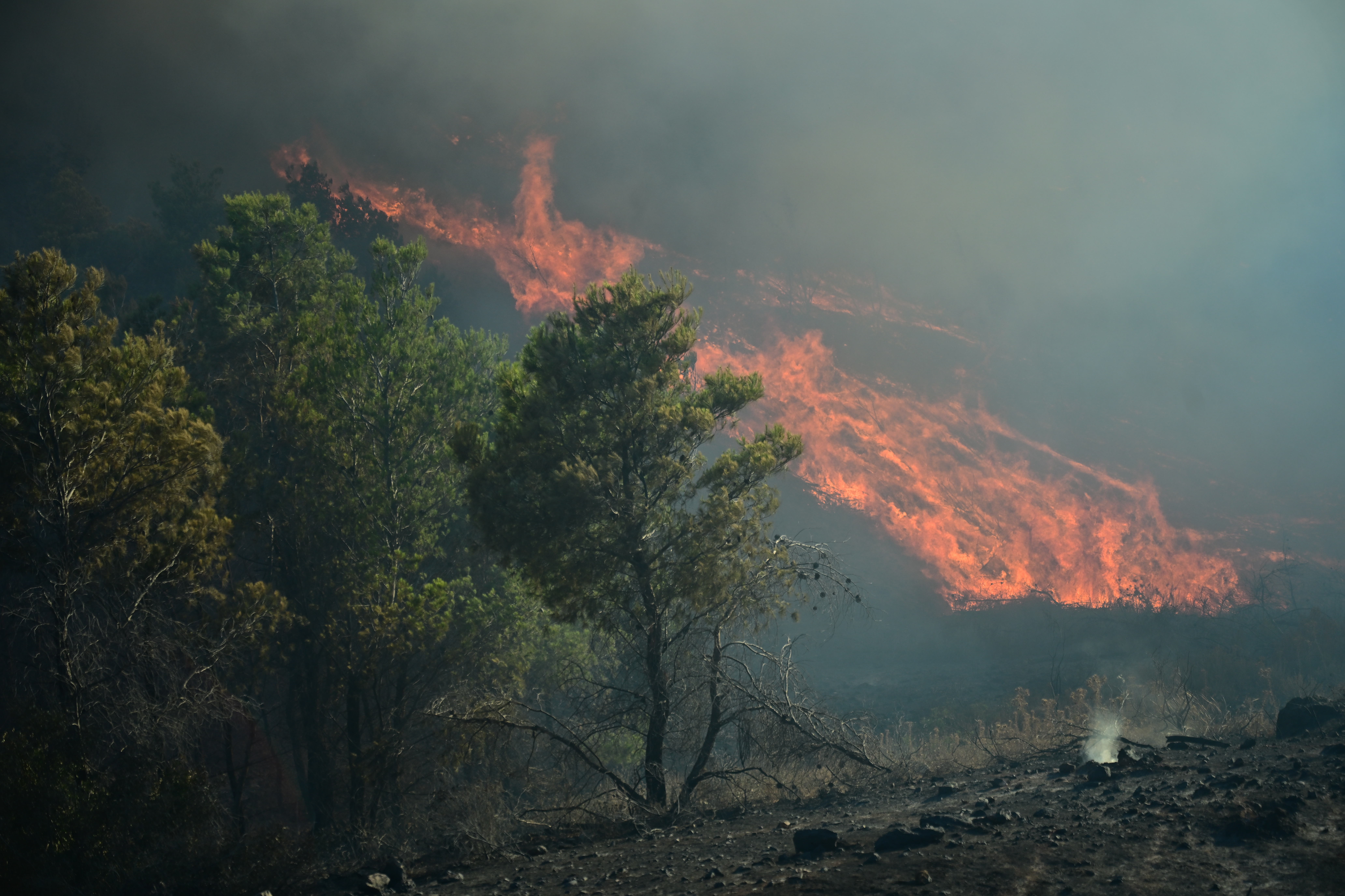 Πυρκαγιά στην Πλάκα Κερατέας, Κυριακή 30 Ιουνίου 2024. 
(ΚΩΣΤΑΣ ΤΖΟΥΜΑΣ