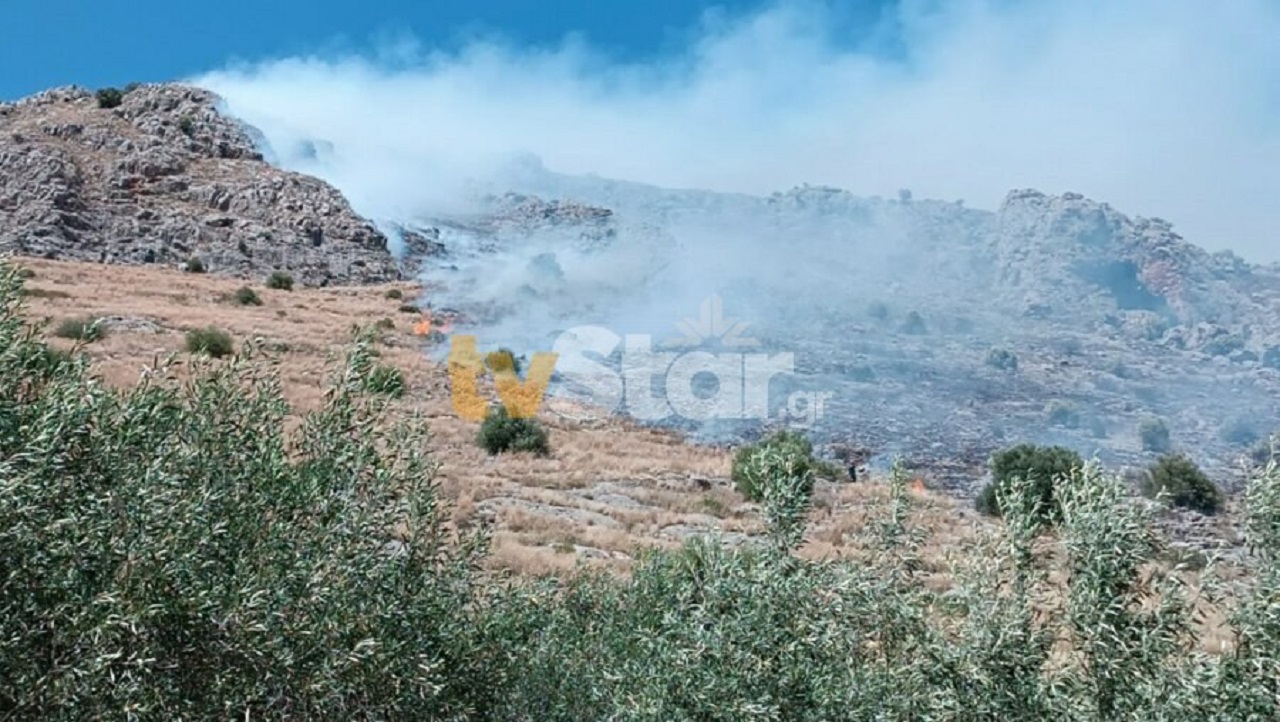 Φωτιά στη Λιβαδειά στο Ακόντιο Όρος, επιχειρούν επίγεια και εναέρια μέσα