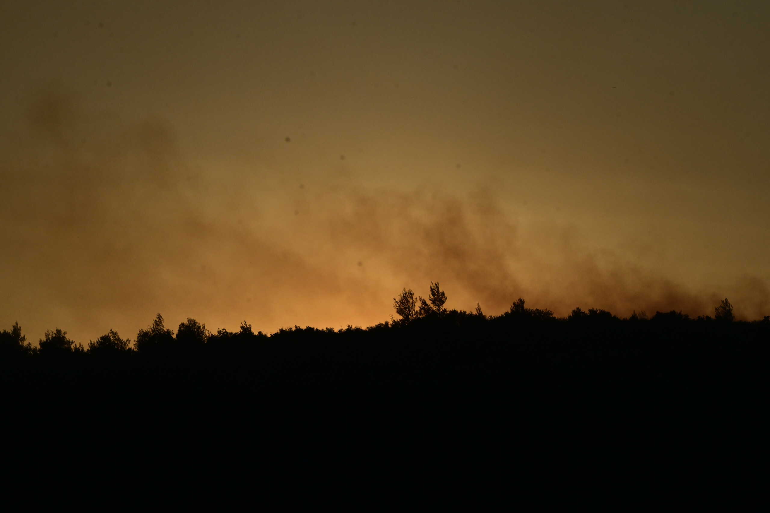 Πυρκαγιά στην Σταμάτα Αττικής, Κυριακή 30 Ιουνίου 2024. 
(ΤΑΤΙΑΝΑ ΜΠΟΛΑΡΗ