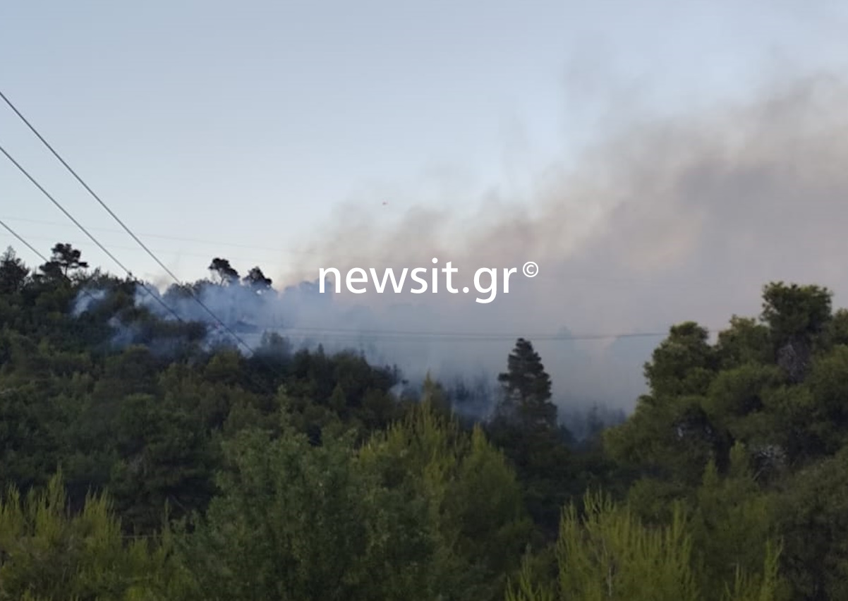 Φωτιές στην Αττική: Ανοικτό το ΟΑΚΑ για να φιλοξενήσει κατοίκους από περιοχές που έχουν εκκενωθεί