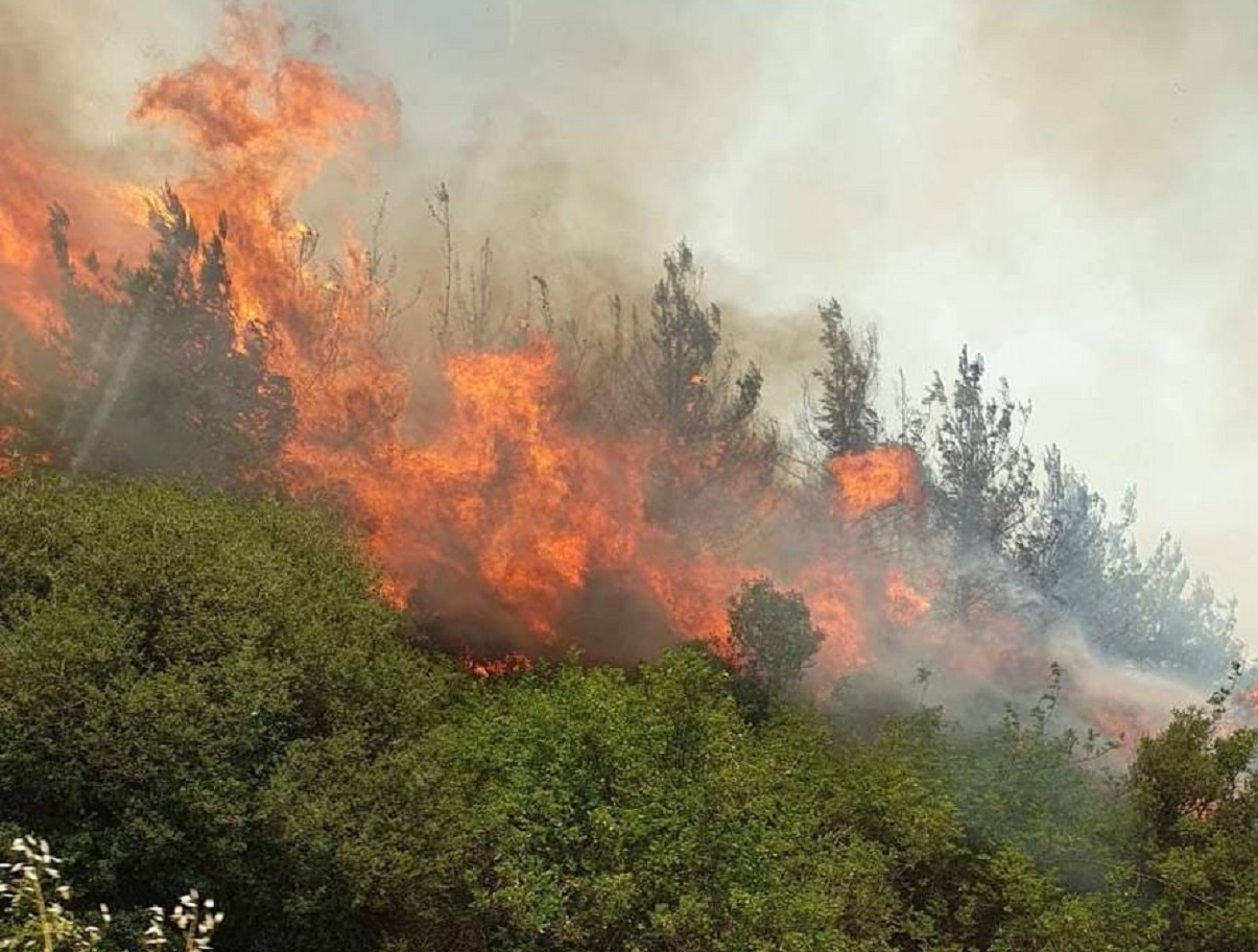 Φωτιά στη Βόλβη: Ισχυρές δυνάμεις παραμένουν στο σημείο, καλύτερη η εικόνα της πυρκαγιάς
