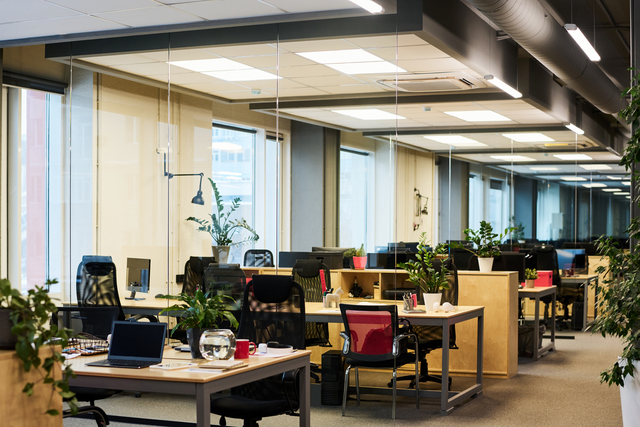 Part of spacious contemporary office in business center with long aisle along coworking area with row of desks with chairs and green plants