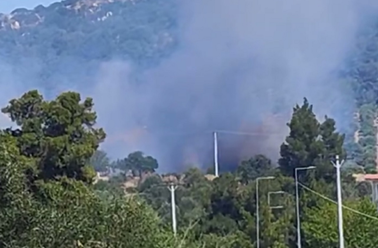 Φωτιά σε ρέμα στο Καπανδρίτι – Ισχυρές δυνάμεις στο σημείο