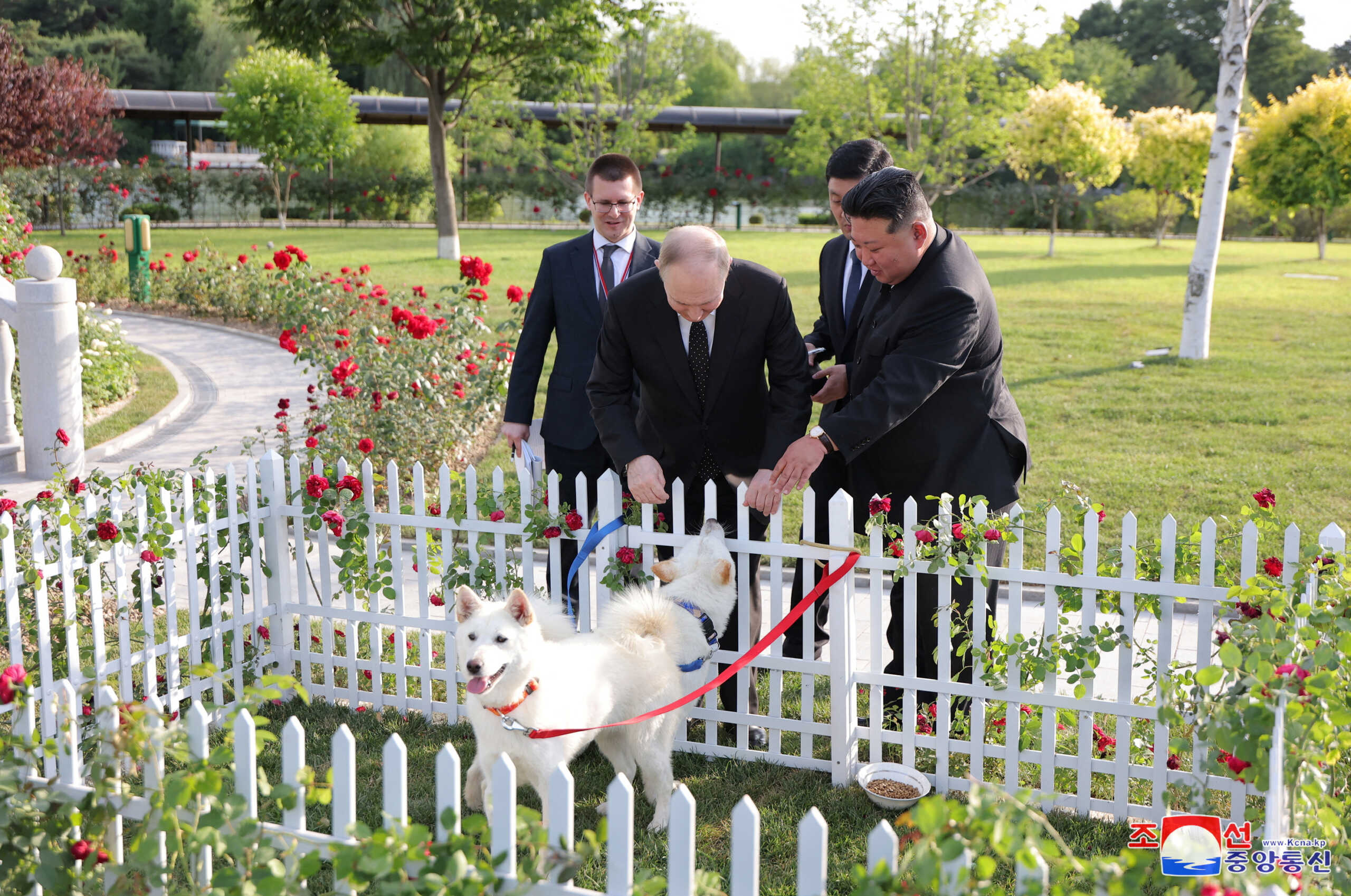 Russia's President Vladimir Putin and North Korea's leader Kim Jong Un pet dogs during a walk in the garden of the Kumsusan Guesthouse in Pyongyang, North Korea in this image released by the Korean Central News Agency June 20, 2024.    KCNA via REUTERS    ATTENTION EDITORS - THIS IMAGE WAS PROVIDED BY A THIRD PARTY. REUTERS IS UNABLE TO INDEPENDENTLY VERIFY THIS IMAGE. NO THIRD PARTY SALES. SOUTH KOREA OUT. NO COMMERCIAL OR EDITORIAL SALES IN SOUTH KOREA.