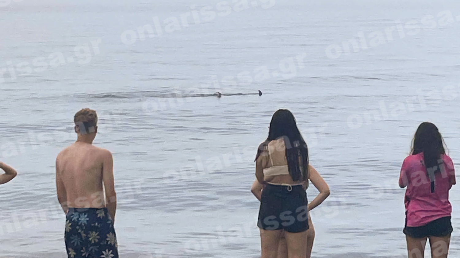 Λάρισα: Αναστάτωση στον Αγιόκαμπο – Καρχαριοειδές σε απόσταση αναπνοής από την παραλία