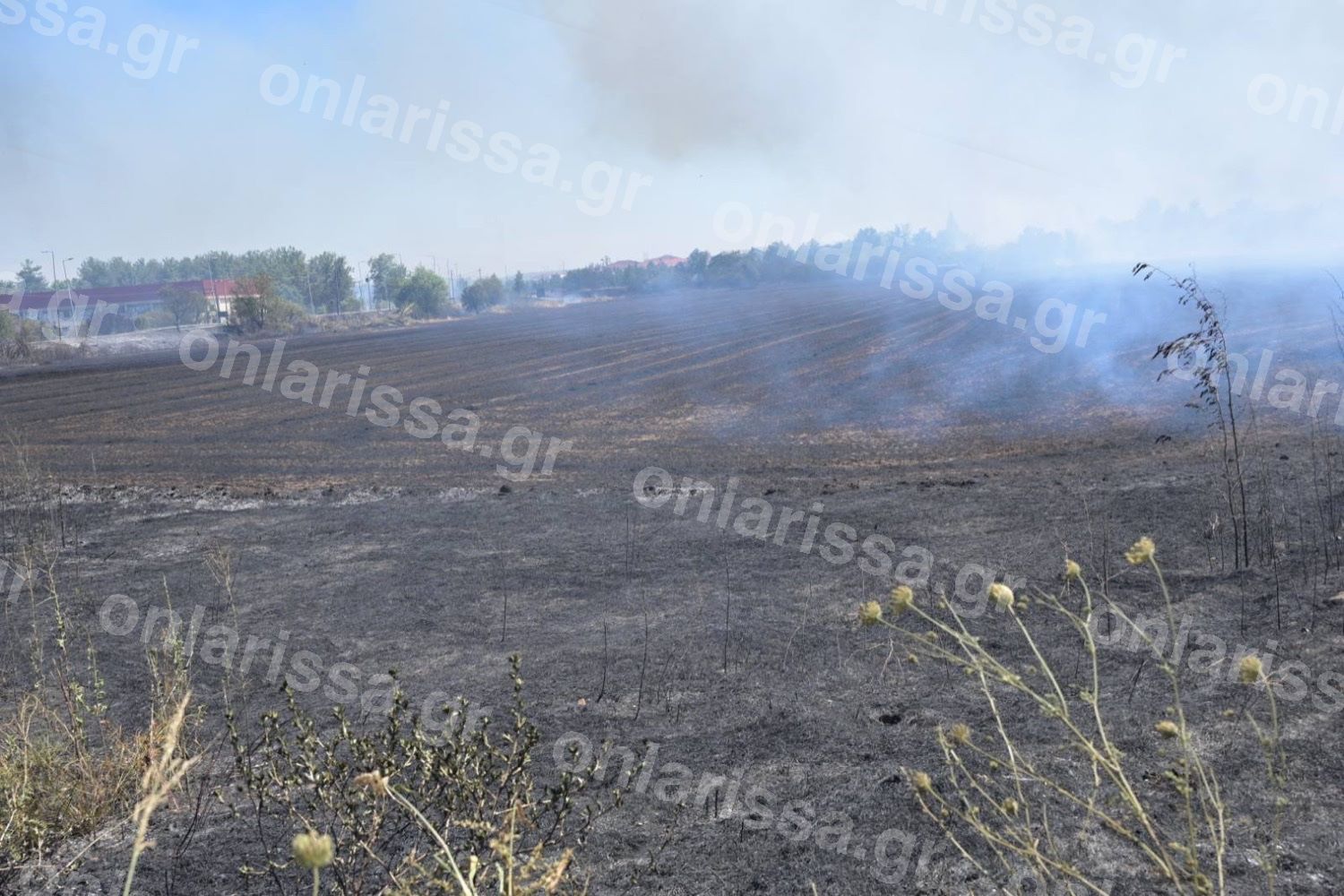 Λάρισα: Σε ύφεση οι πυρκαγιές – Μάχη με 6 μποφόρ και 55 βαθμούς Κελσίου θερμοκρασία εδάφους