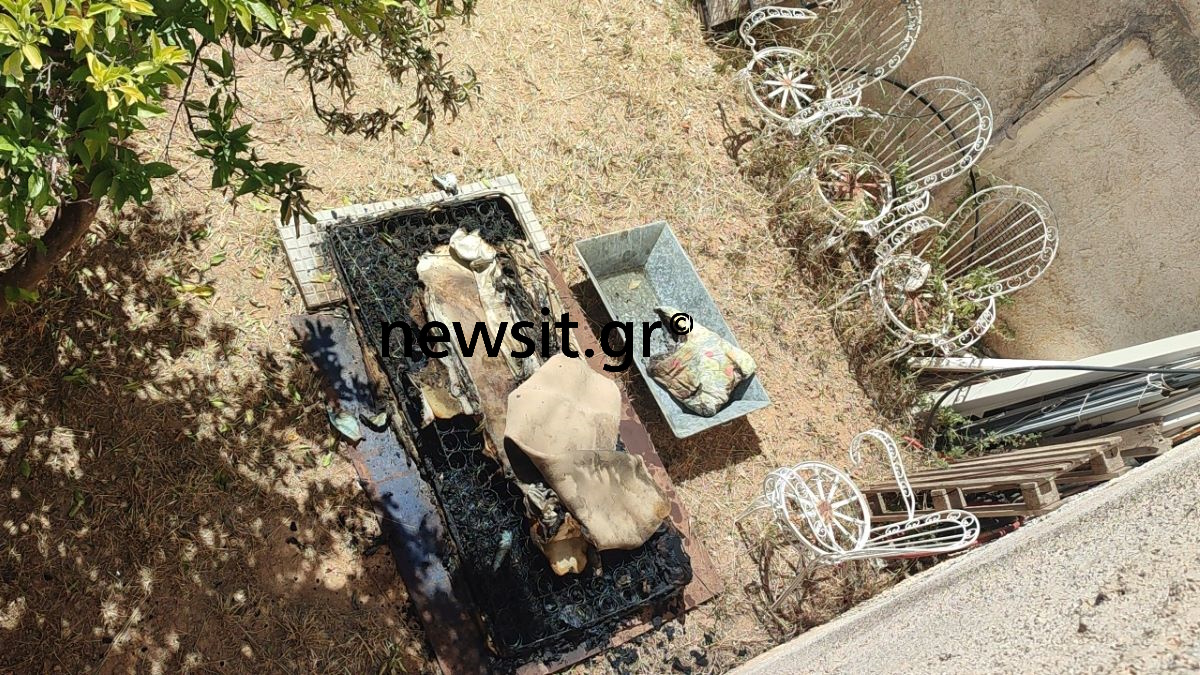 Λιόσια: «Πιστεύαμε ότι είχαν μπει κλέφτες και τους είχαν σφάξει και τους δύο» λένε οι γείτονες που κάλεσαν την αστυνομία