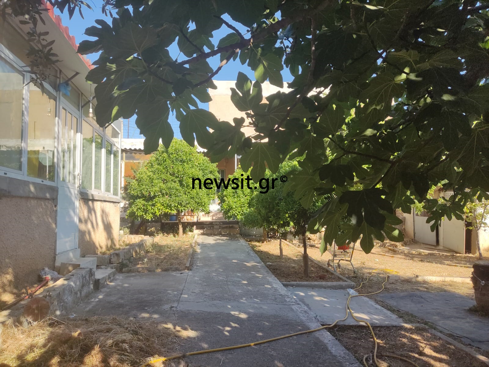 Λιόσια: «Δεν πλησίαζες την καγκελόπορτα από τη μυρωδιά» λένε οι γείτονες για τον ηλικιωμένο που βρέθηκε απανθρακωμένος