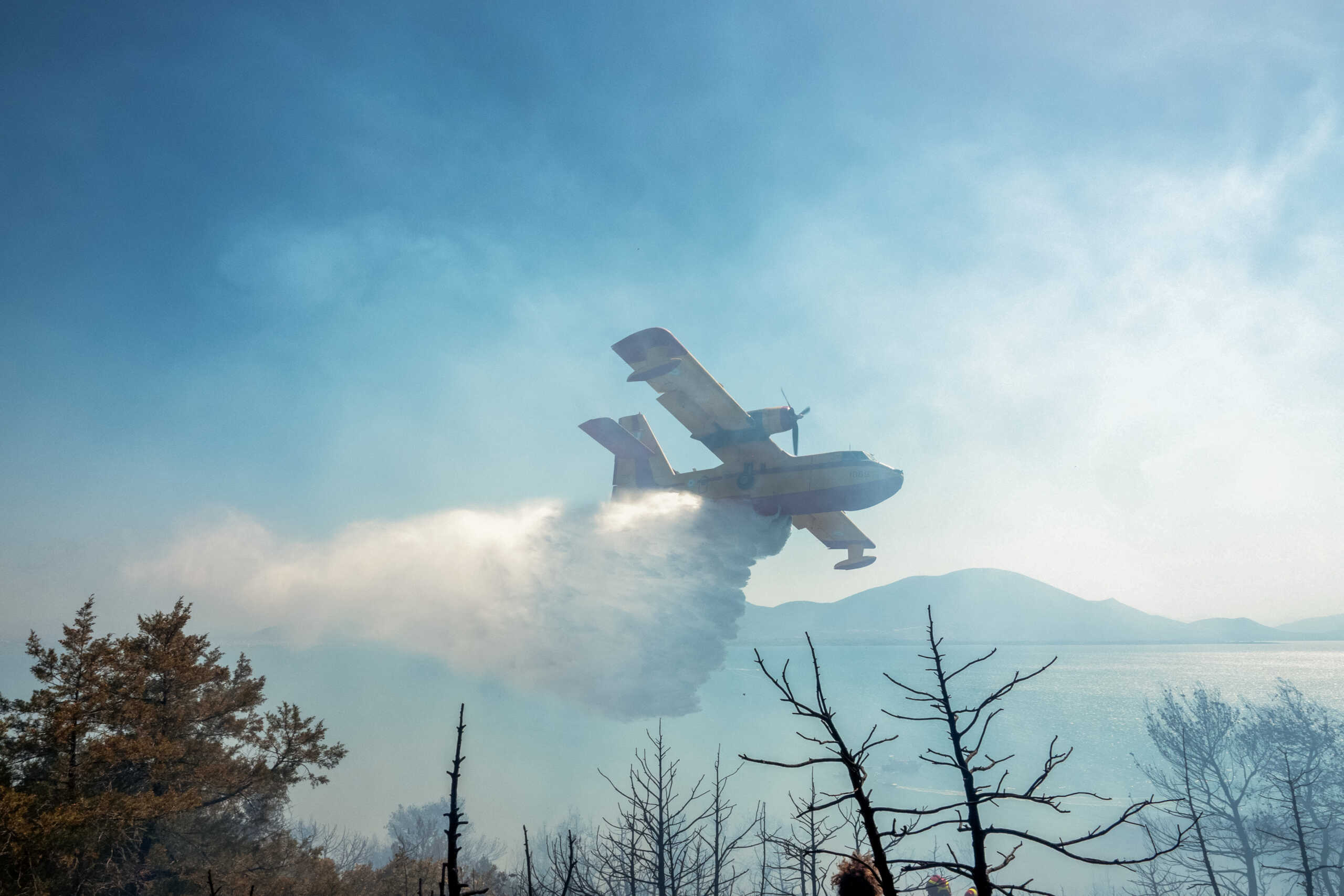 Πυρκαγιά στη Νέα Αρτάκη στην Εύβοια. Τρίτη 25 Ιουνίου 2024 (ΘΕΟΔΩΡΟΣ ΝΙΚΟΛΑΟΥ