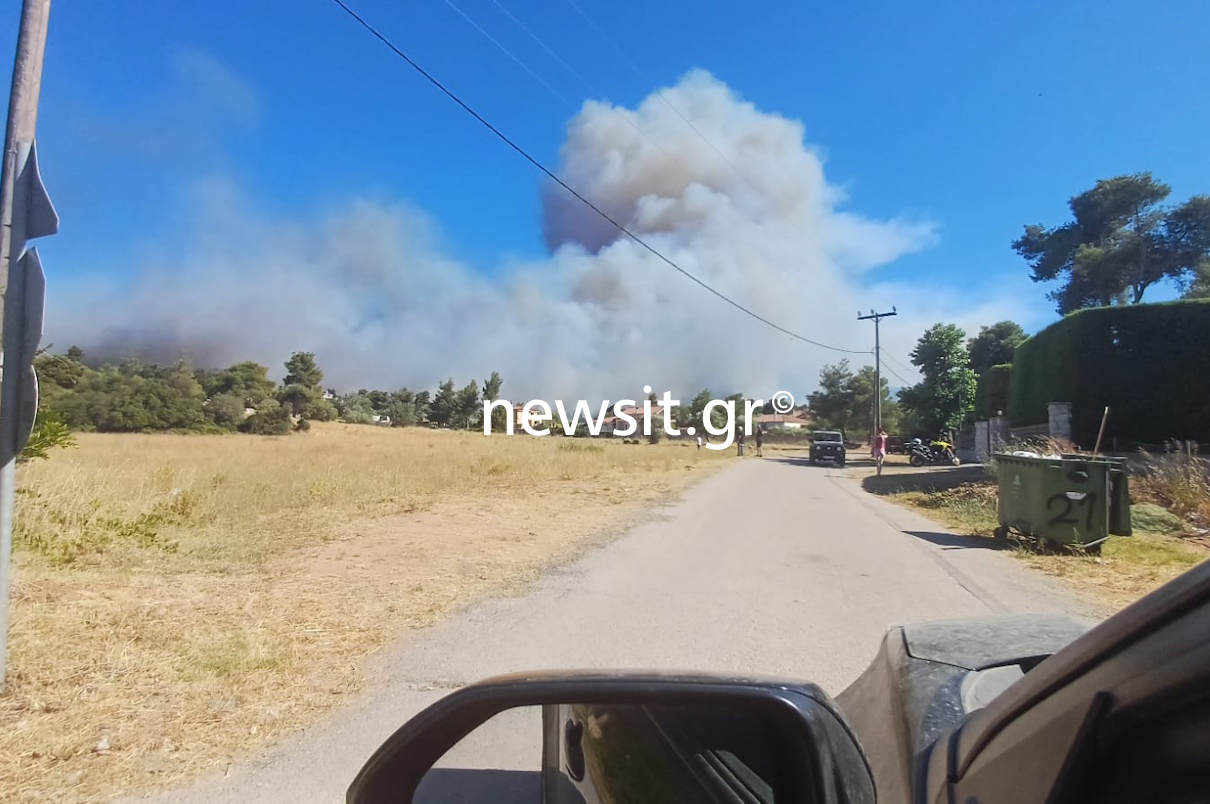 Φωτιά στη Σταμάτα: Μήνυμα από το 112 για τον Διόνυσο, «παραμείνετε σε εσωτερικούς χώρους, κλείστε πόρτες και παράθυρα»