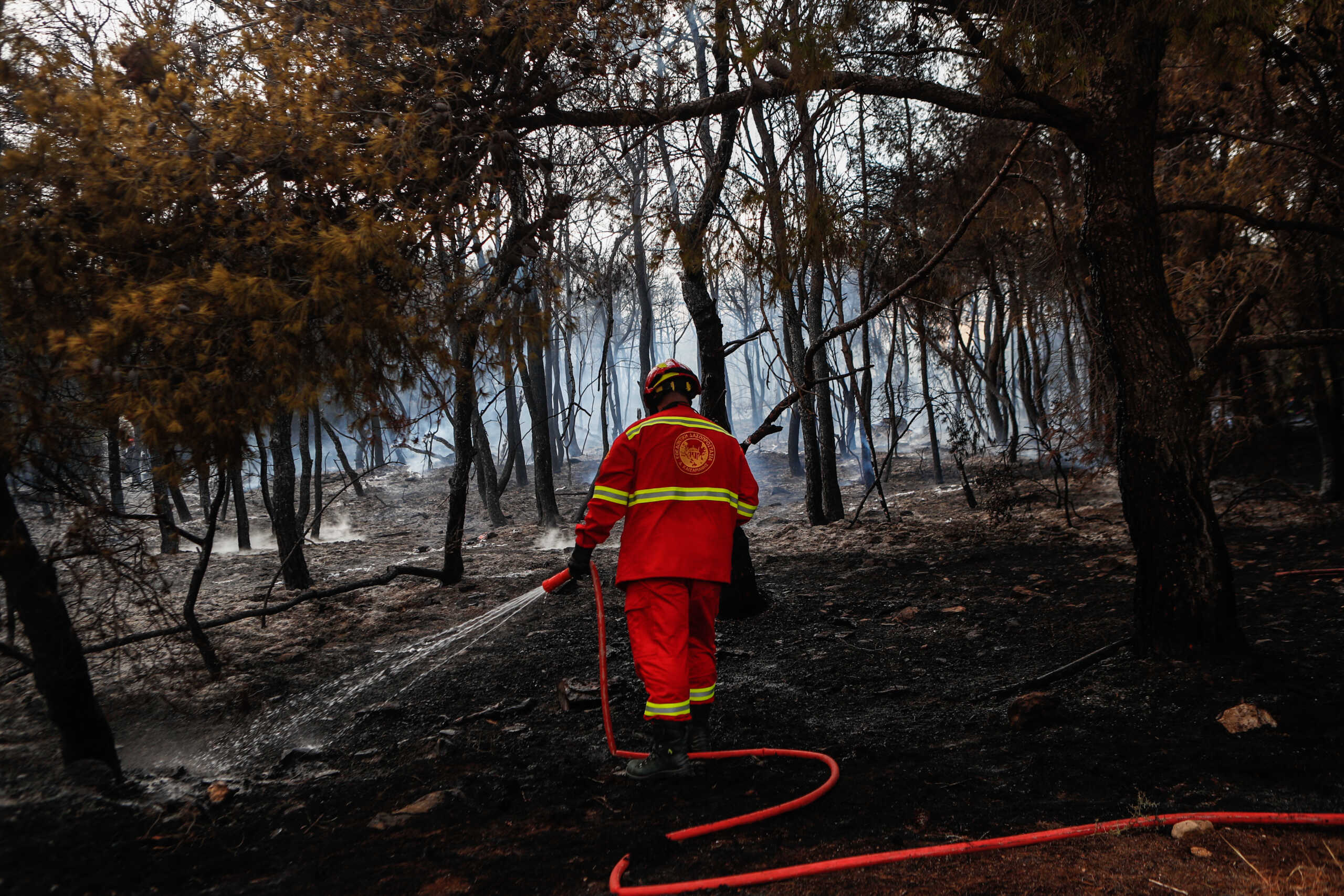 Πυρκαγιά στα Γλυκά Νερά Αττικής, Τετάρτη 3 Ιουλίου 2024. 
(ΣΩΤΗΡΗΣ ΔΗΜΗΤΡΟΠΟΥΛΟΣ