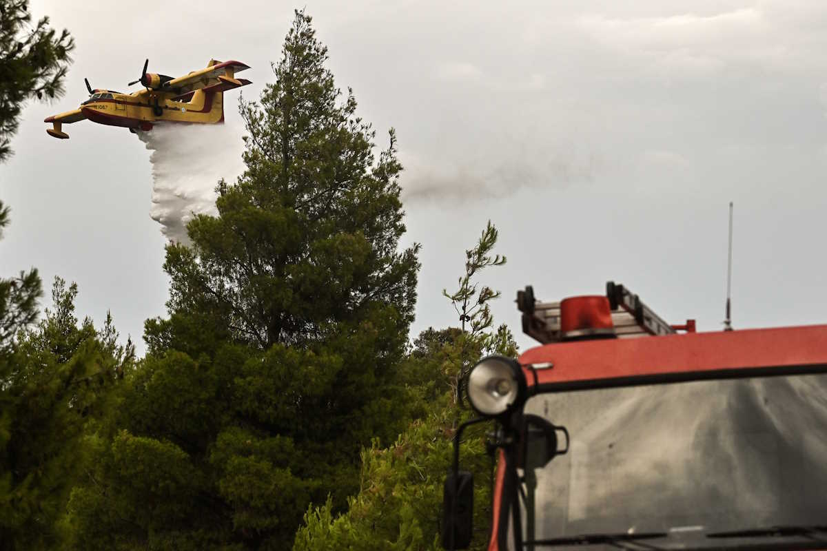 Πυρκαγιά στο Σοφικό Κορινθίας, Τρίτη 23 Ιουλίου 2024. 
(ΒΑΣΙΛΗΣ ΨΩΜΑΣ