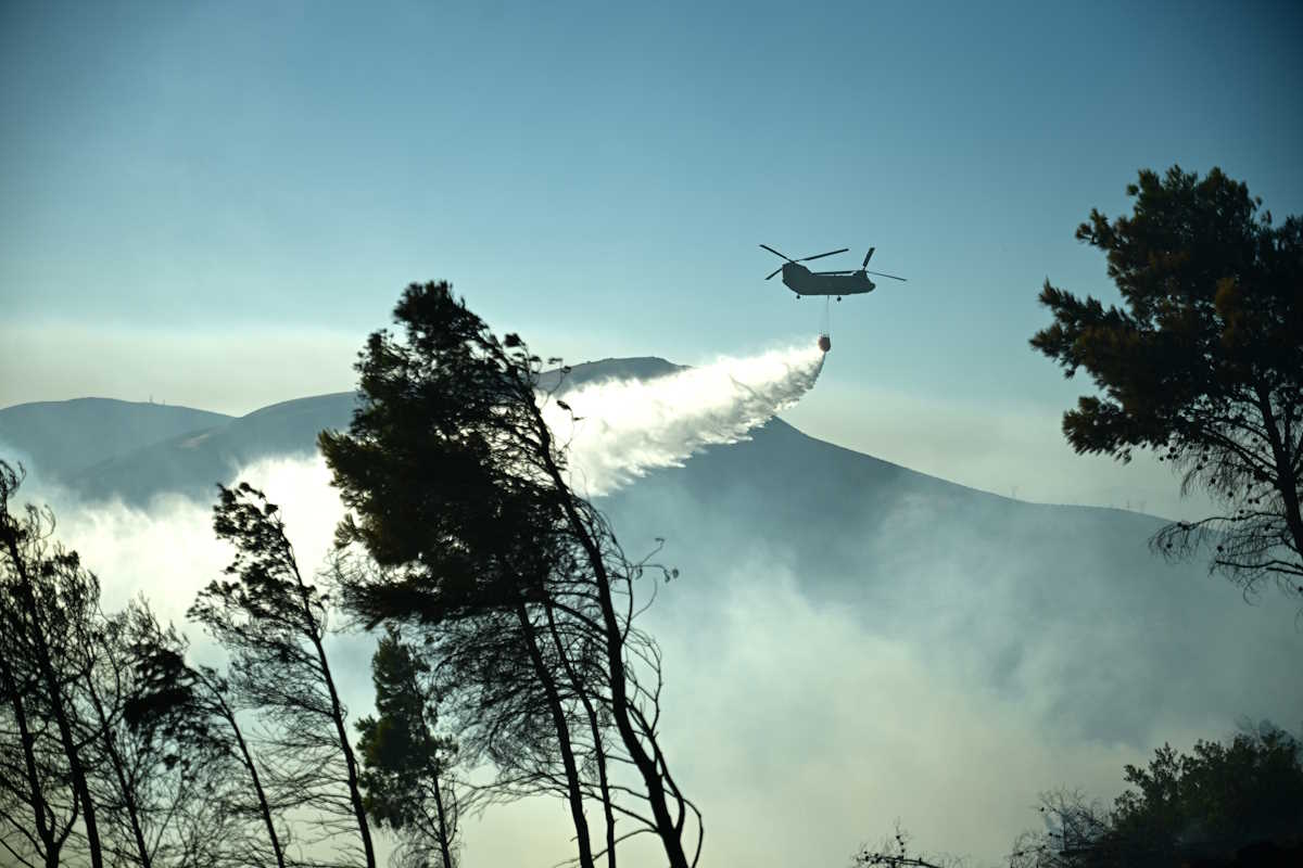 Πυρκαγιά στην Πλάκα Κερατέας, Κυριακή 30 Ιουνίου 2024. 
(ΚΩΣΤΑΣ ΤΖΟΥΜΑΣ