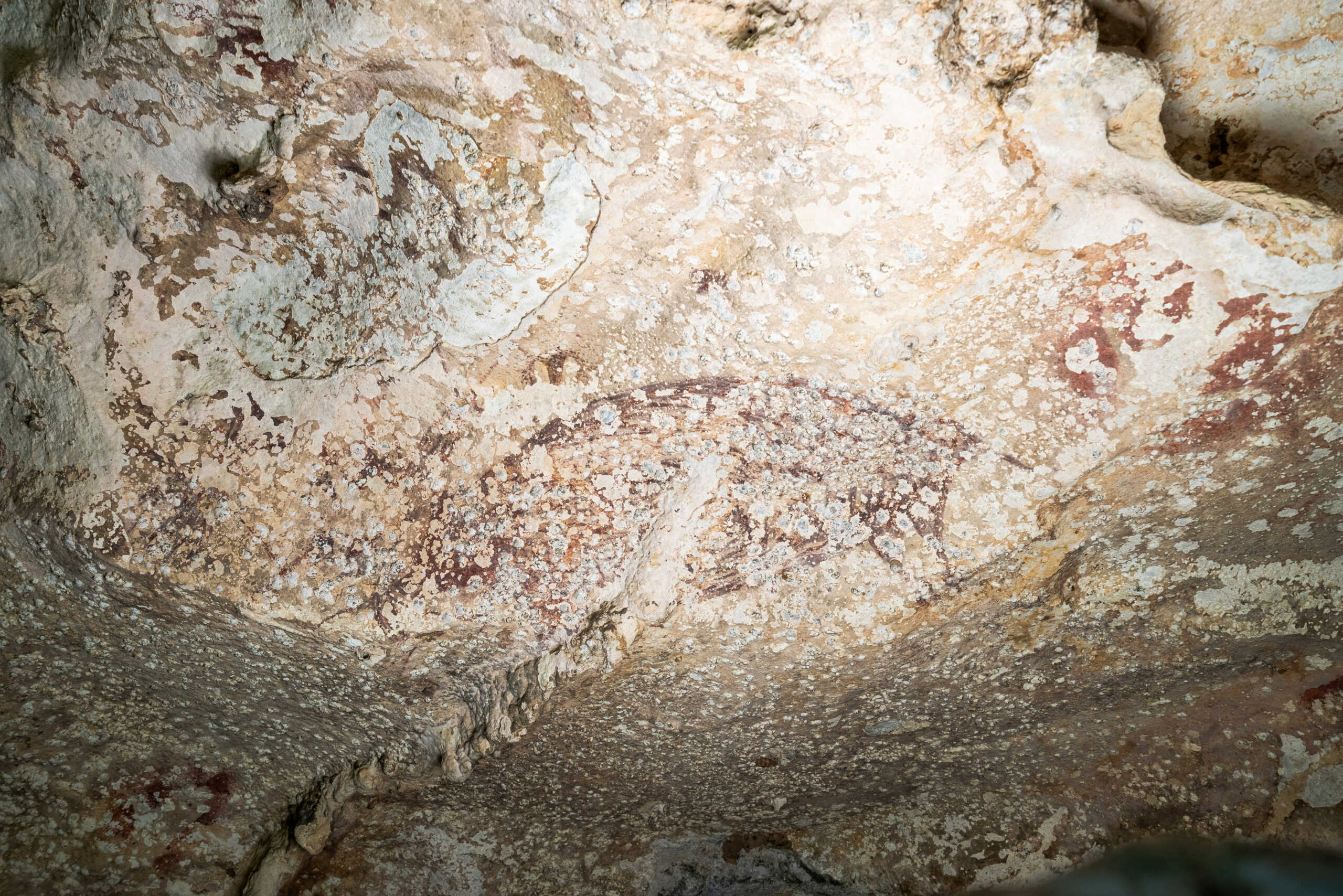 A painting created at least 51,200 years ago in the limestone cave of Leang Karampuang in the Maros-Pangkep region of the Indonesian island of Sulawesi portrays three human-like figures interacting with a wild pig, in this undated handout image. BRIN