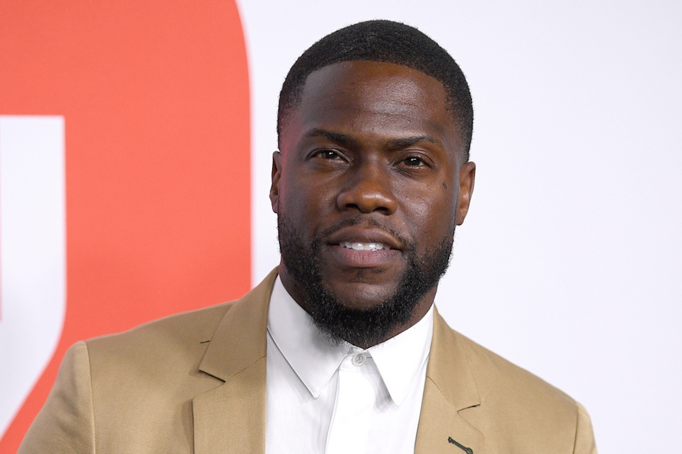 epa07629793 US actor and cast member Kevin Hart arrives at the Australian premiere of 'The Secret Life of Pets 2' in Sydney, New South Wales, Australia, 06 June 2019, during the Sydney Film Festival.  EPA