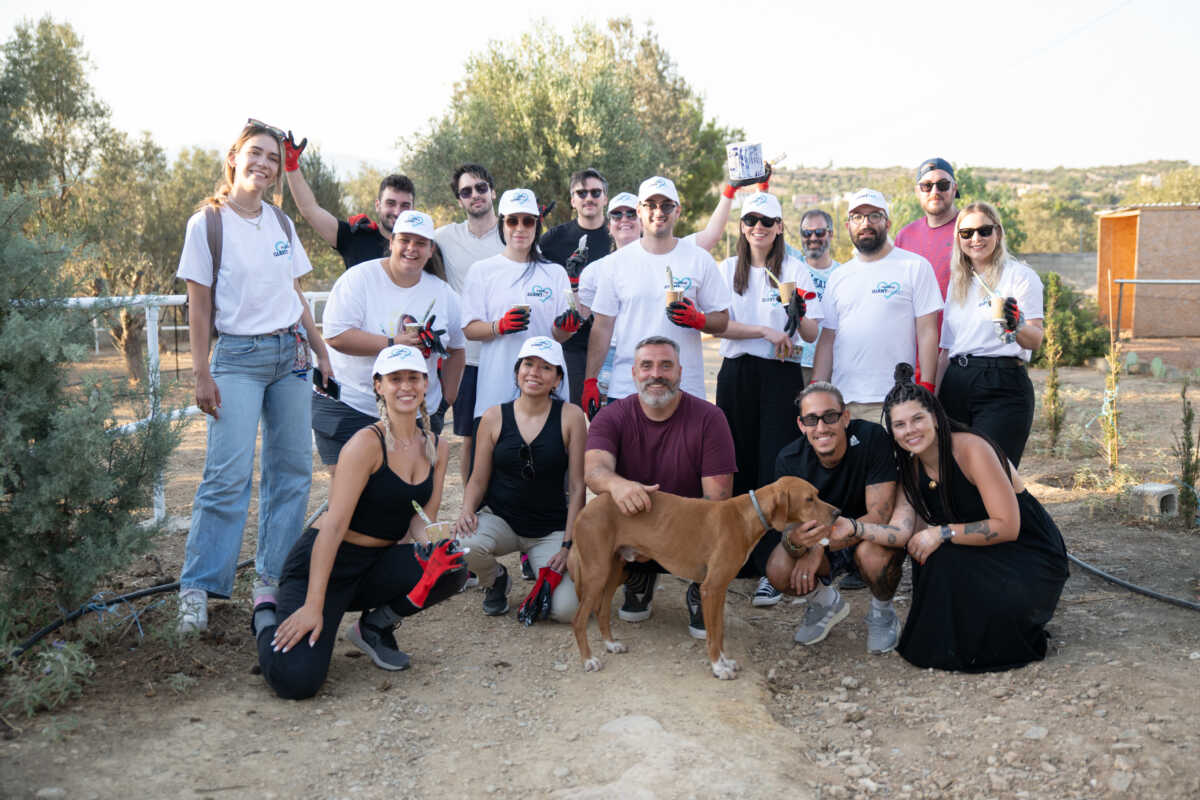 Καλοκαίρι στo Noviverse: Η Novibet δημιουργεί το πιο καινοτόμο και δυναμικό εργασιακό περιβάλλον