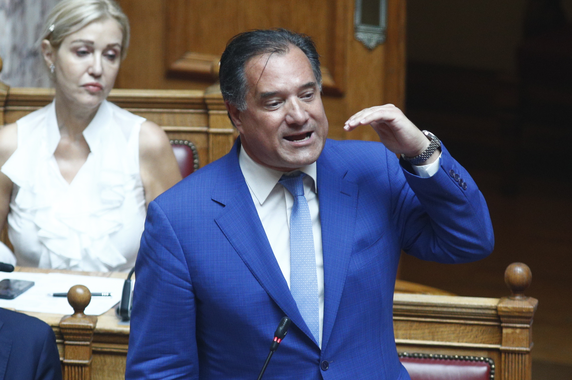 Νατάσα Πετρούλια: Ποια είναι η συνεργάτιδα του Άδωνι Γεωργιάδη που δέχτηκε bullying από τον Παύλο Πολάκη