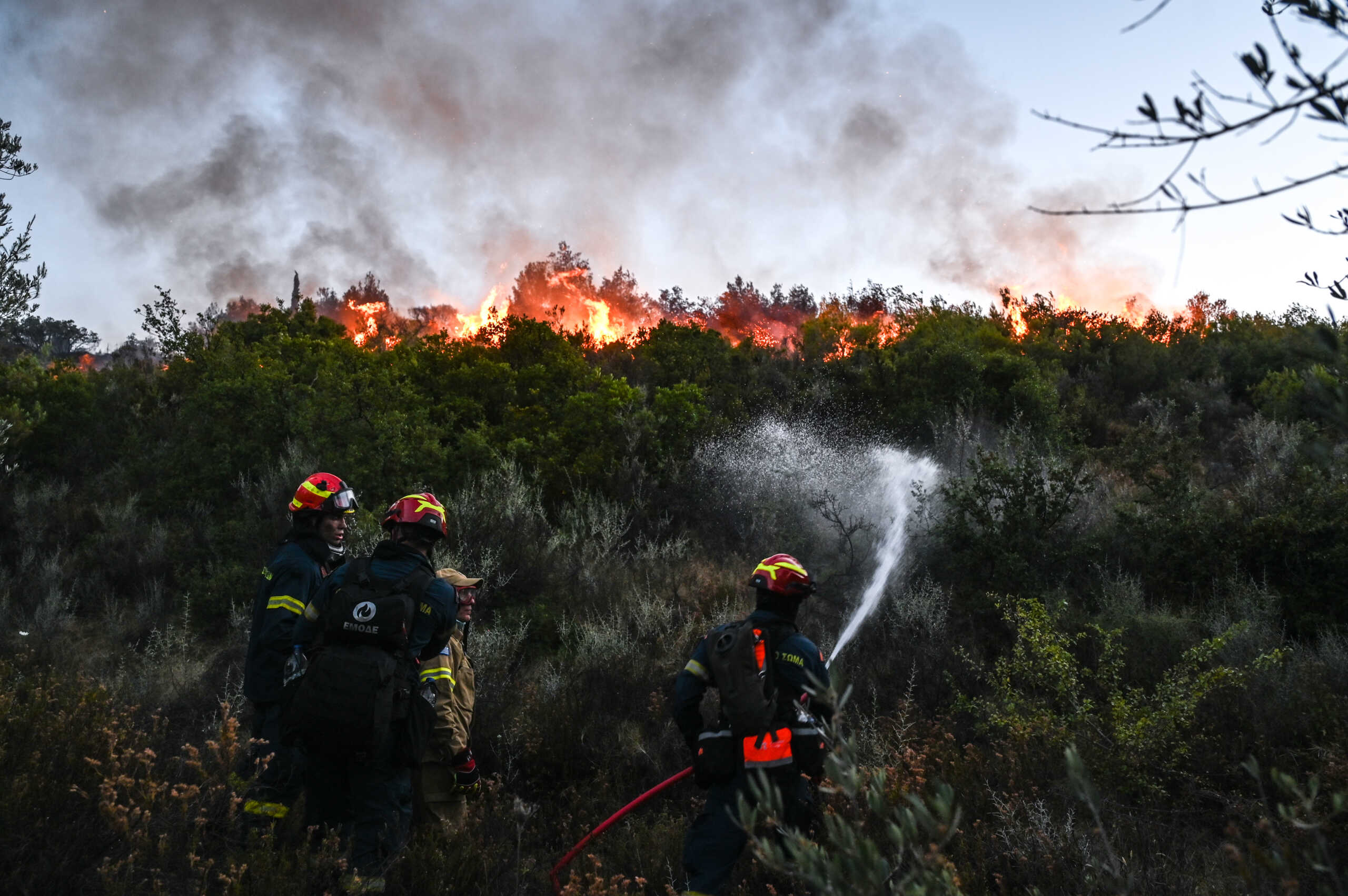 Πυρκαγιά στην Σταμάτα Αττικής, Κυριακή 30 Ιουνίου 2024. 
(ΜΙΧΑΛΗΣ ΚΑΡΑΓΙΑΝΝΗΣ