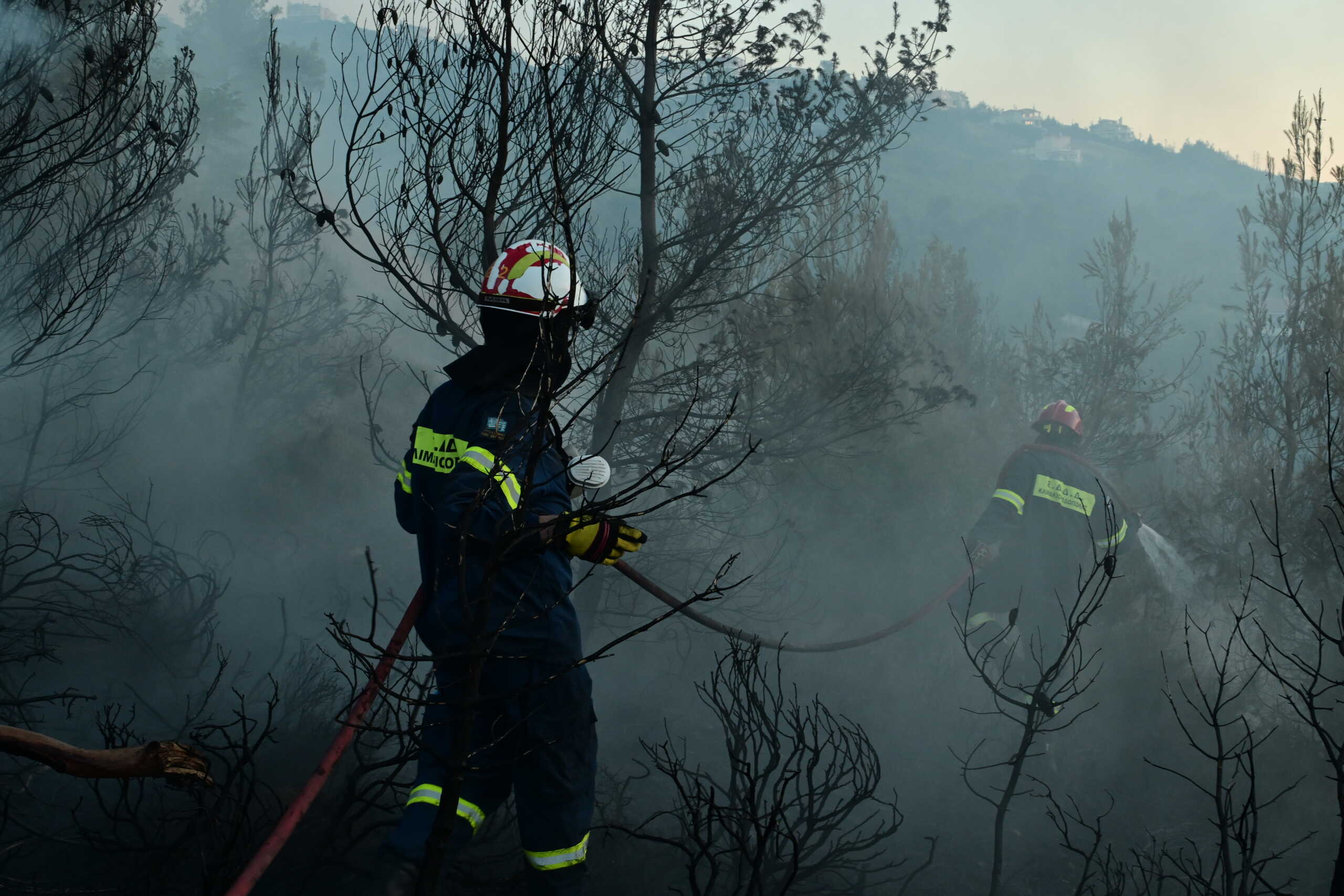 Φωτιά στο Καλοχώρι Αυλίδας: Ρίψεις νερού από 3 αεροσκάφη