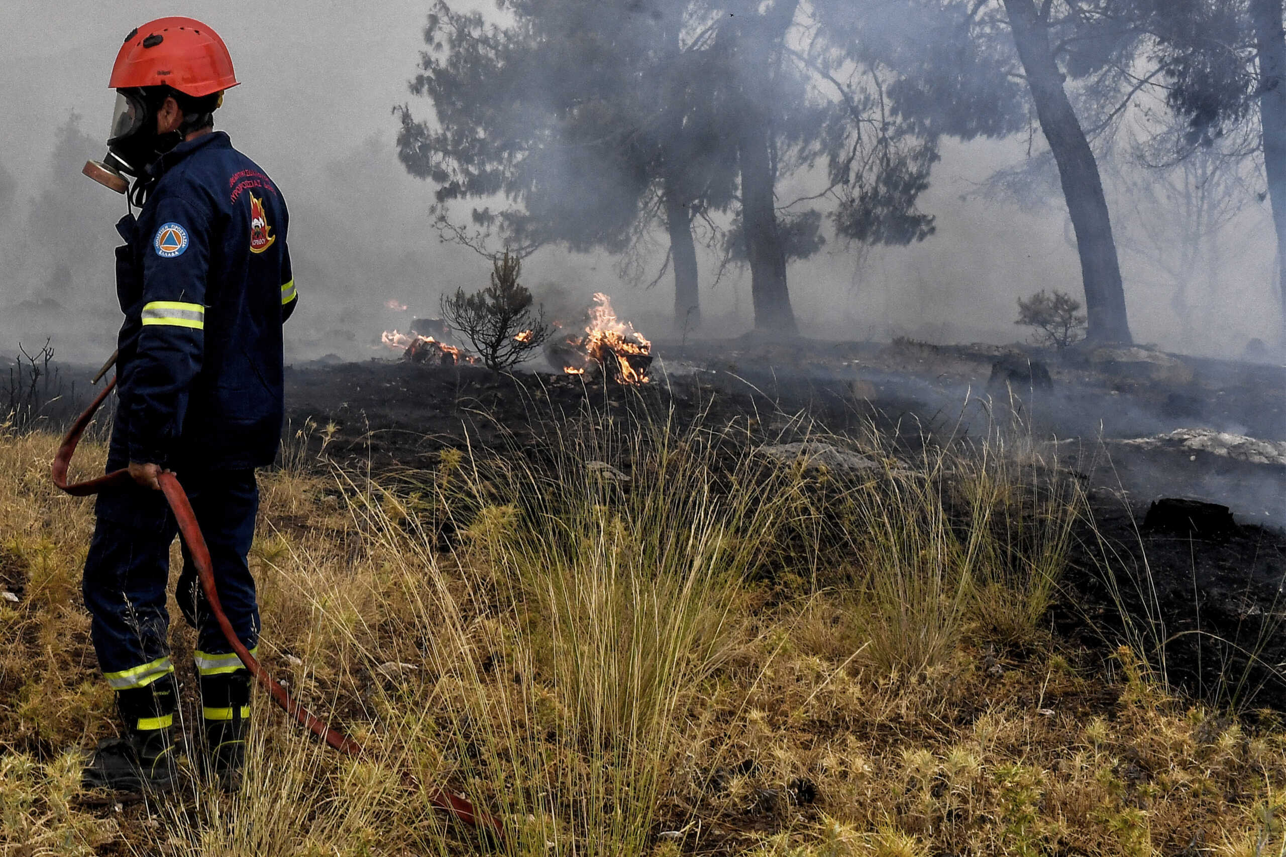 Πυρκαγιά στο Σοφικό Κορινθίας, Τρίτη 23 Ιουλίου 2024. 
(ΒΑΣΙΛΗΣ ΨΩΜΑΣ