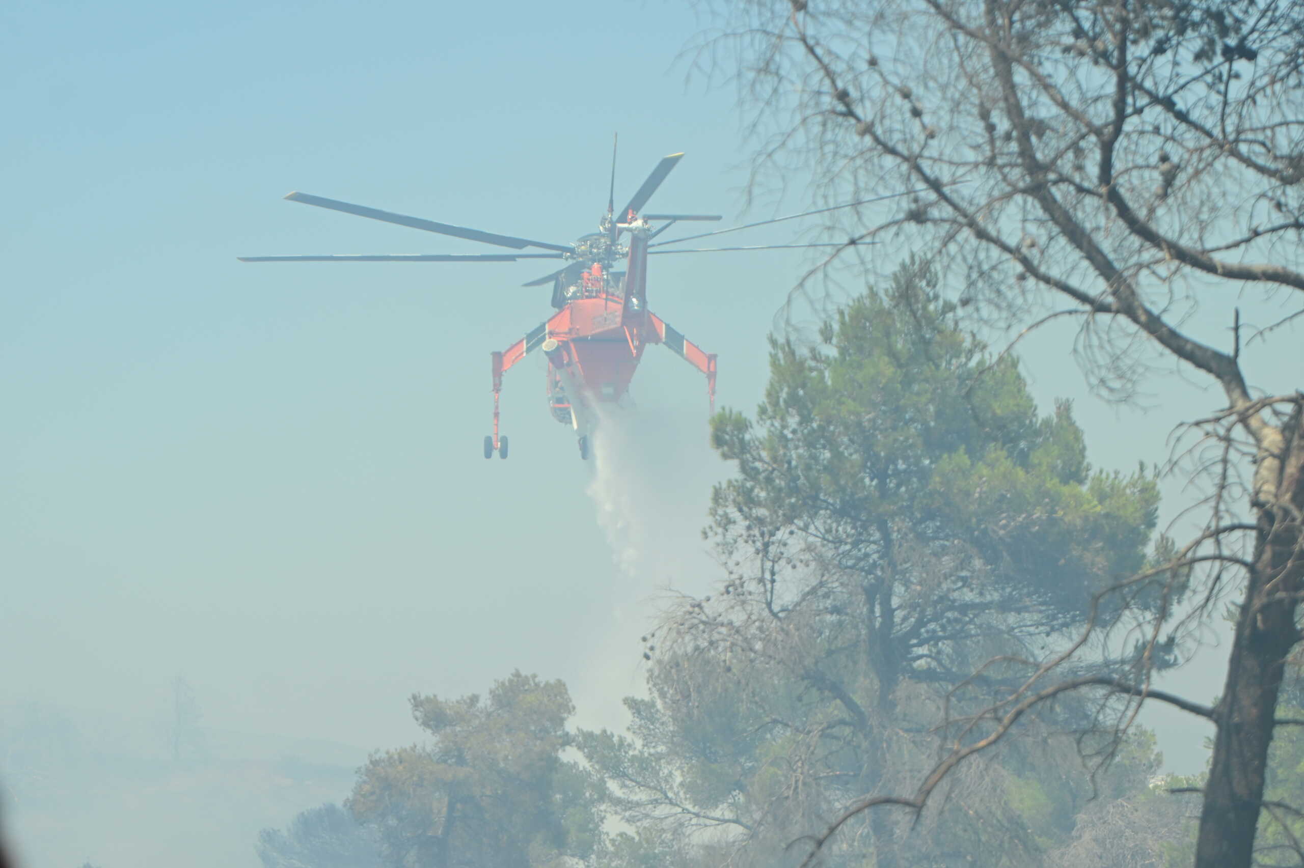 Πυρκαγιά στην Πλάκα Κερατέας, Κυριακή 30 Ιουνίου 2024. 
(ΚΩΣΤΑΣ ΤΖΟΥΜΑΣ