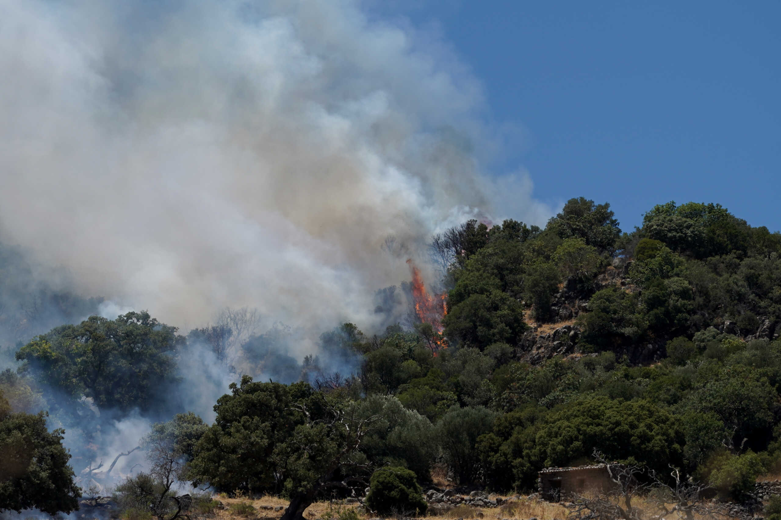 ΛΕΣΒΟΣ ΦΩΤΙΑ ΣΤΗ ΠΕΡΙΟΧΗ ΜΑΝΤΑΜΑΔΟΣ (ΣΤΡΑΤΗΣ ΜΠΑΛΑΣΑΣ