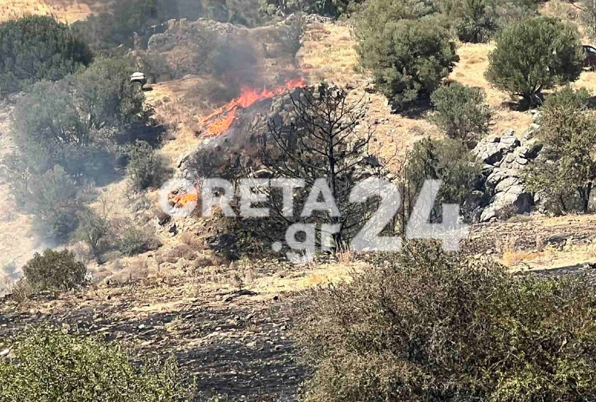 Φωτιά στην Γόρτυνα Κρήτης: Ήχησε το 112 – «Παραμείνετε σε ετοιμότητα»