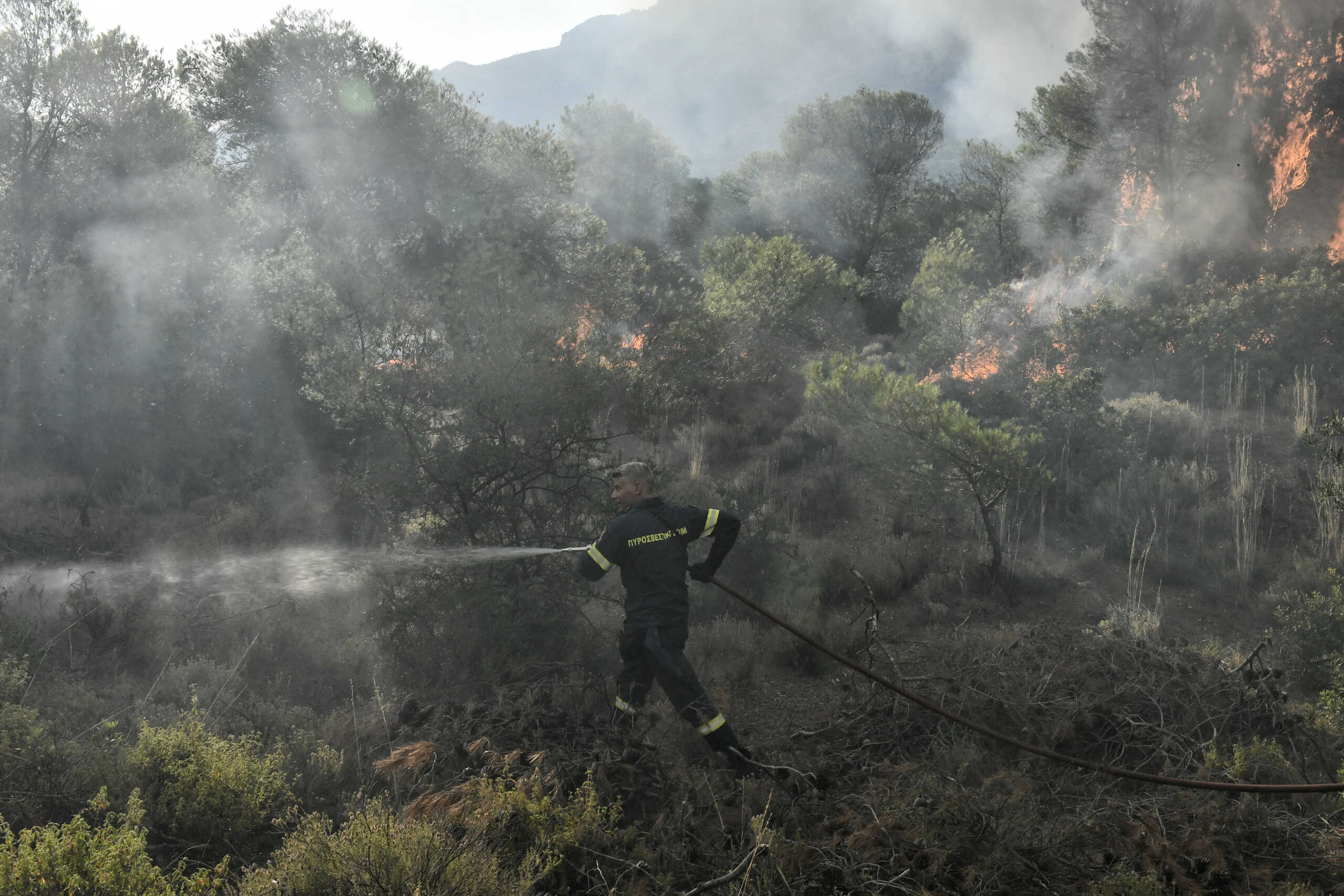 ΦΩΤΙΑ ΣΕ ΔΑΣΙΚΗ ΕΚΤΑΣΗ ΣΤΗ ΚΑΛΛΙΘΕΑ ΛΟΥΤΡΑΚΙΟΥ (EUROKINISSI