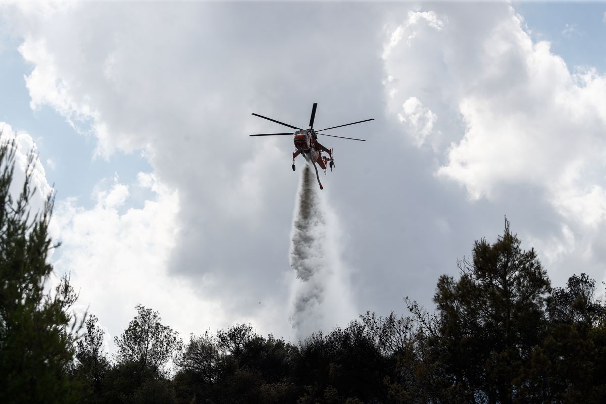 Φωτιά στα Φάρσαλα: Μήνυμα του 112 «παραμείνετε σε ετοιμότητα»