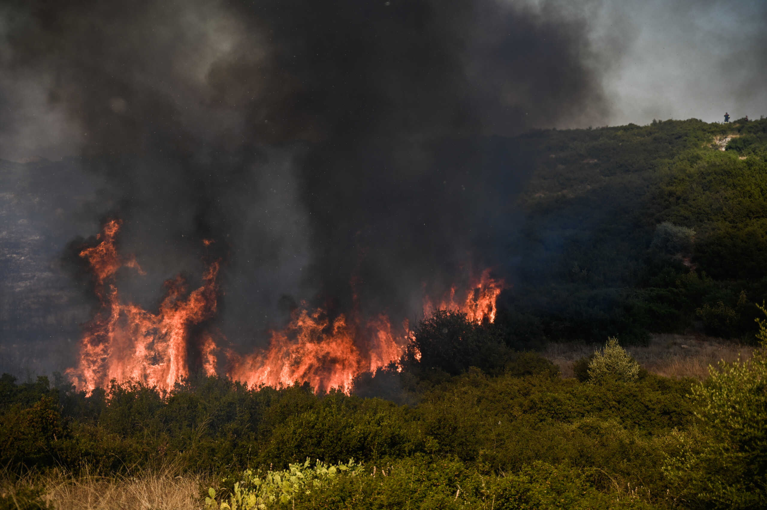 Αναζωπύρωση της πυρκαγιάς στην Λαμία στο πίσω μέρος του Αφανού, Πέμπτη 27 Ιουλίου 2023. 
(ΝΑΣΟΣ ΣΙΜΟΠΟΥΛΟΣ