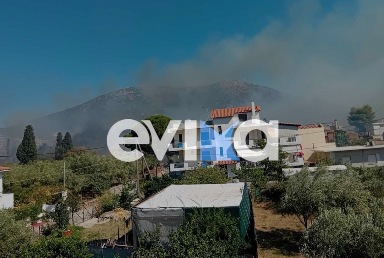 Φωτιά στην Εύβοια στον Αλμυροπόταμο – Ήχησε το 112
