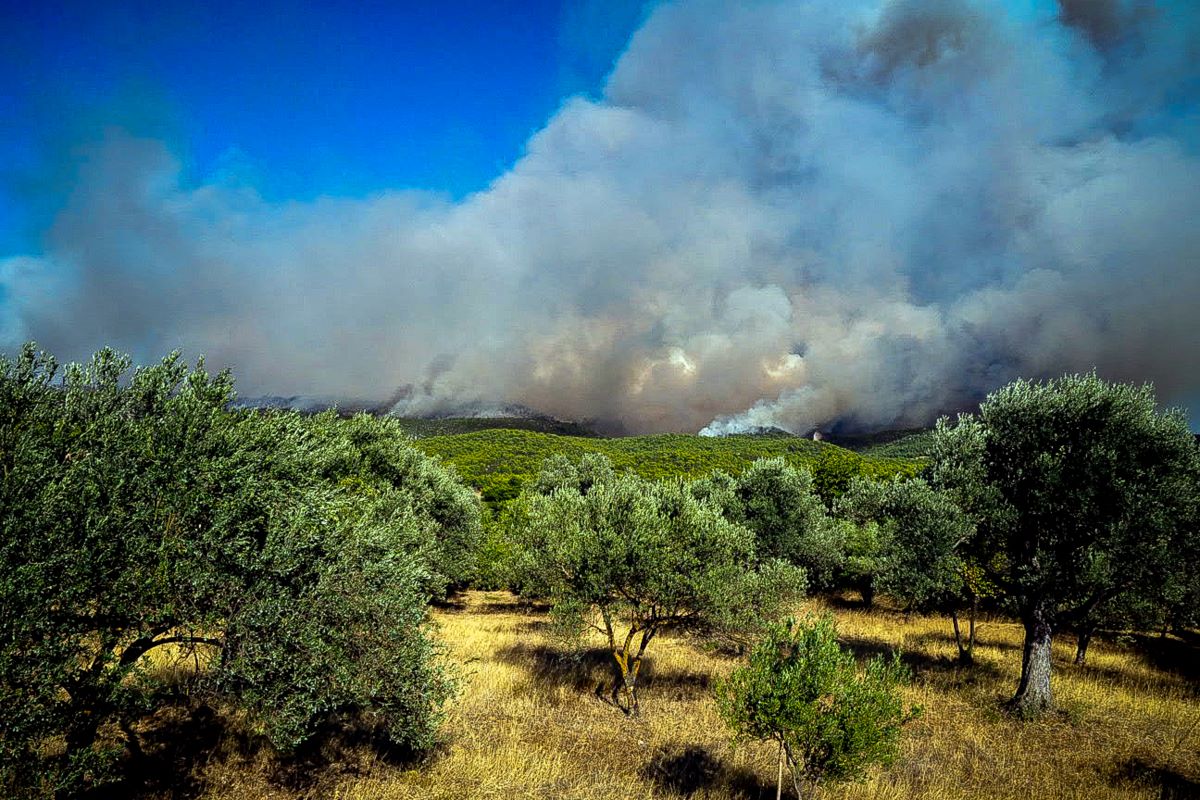Φωτιά στην Εύβοια: Εξασθενούν οι άνεμοι από το βράδυ, ενισχύονται και πάλι από το πρωί της Πέμπτης