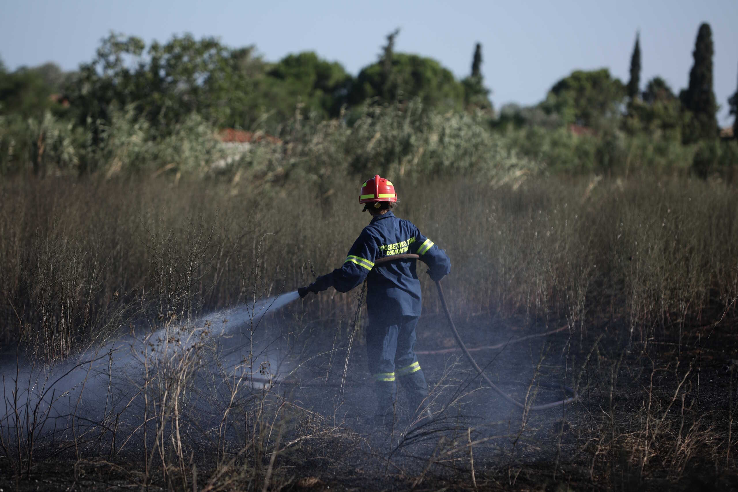Πυρκαγιά στον Μαραθώνα, Τετάρτη 9 Αυγούστου 2023. Η φωτιά ξεκίνησε στις 14.43 στην Απόλλωνος και Ολυμπιονικών και για την κατάσβεσή της επιχείρησαν 67 πυροσβέστες με 13 οχήματα, μία ομάδα πεζοπόρο, πυροσβεστικά ελικόπτερα και εθελοντές. 
(ΒΑΣΙΛΗΣ ΡΕΜΠΑΠΗΣ