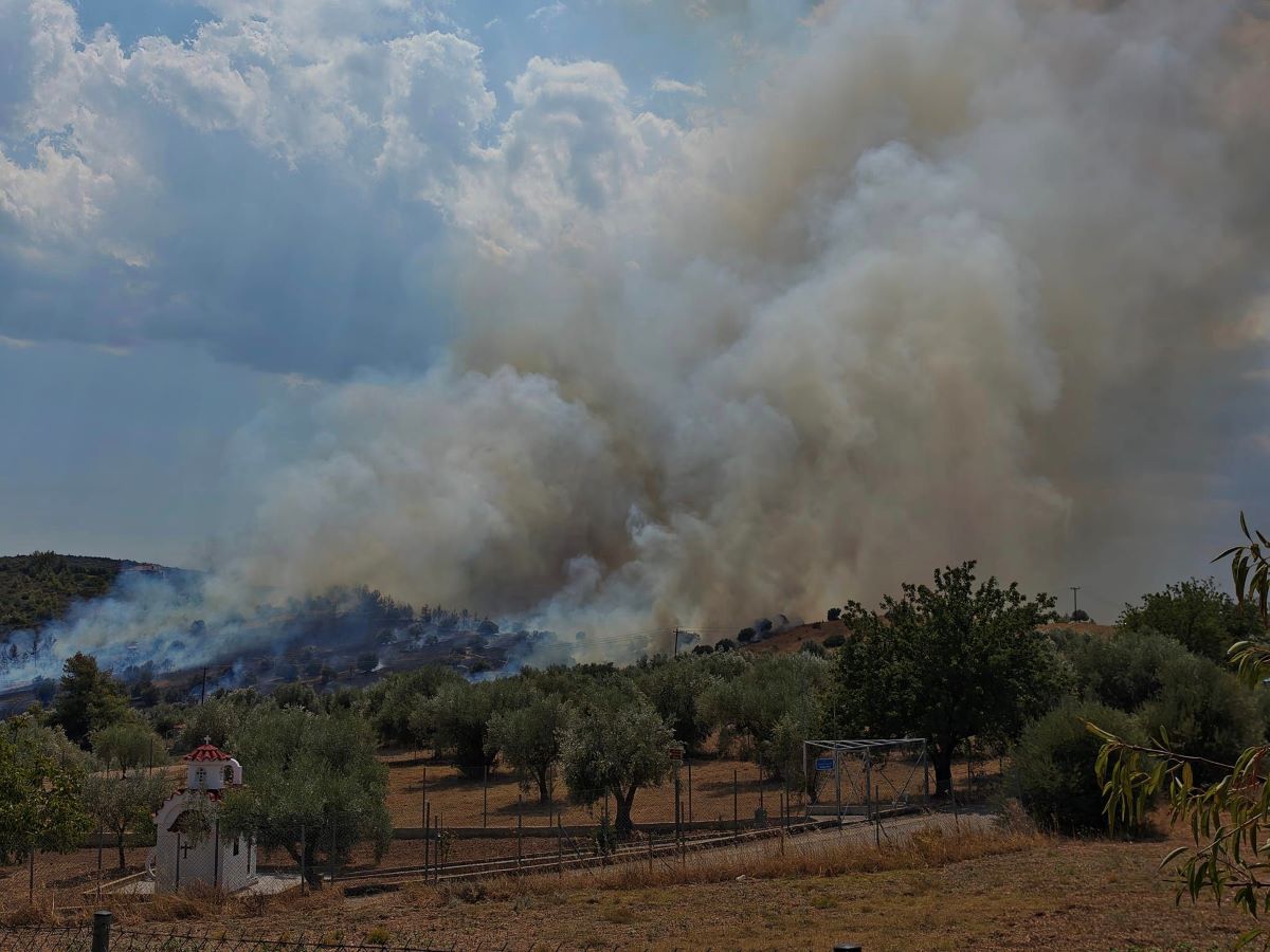 Φωτιά στην Αργολίδα στην περιοχή Αλέα: Στη μάχη και εναέρια μέσα