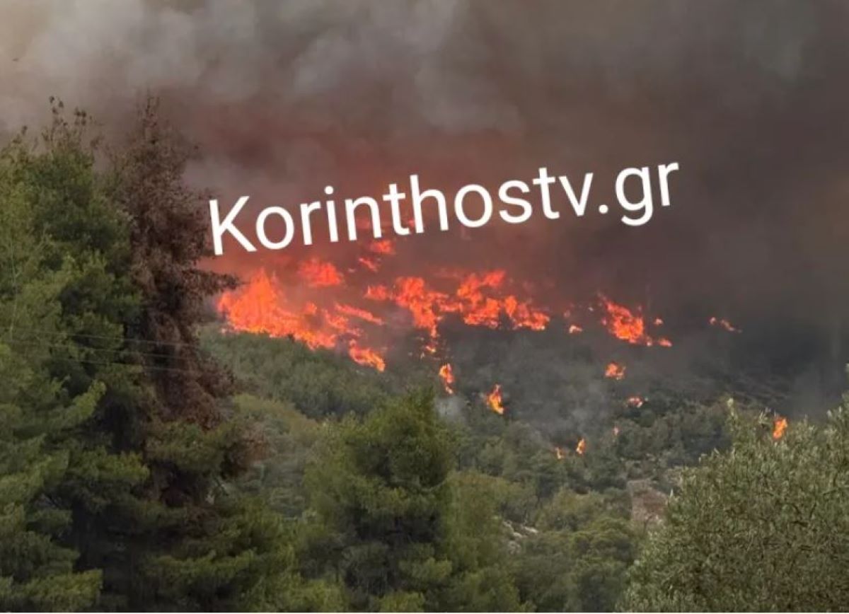 Φωτιές στην Κορινθία: Διπλό πύρινο μέτωπο σε Αμμώνι και Εξαμίλια – Τραυματίστηκε πυροσβέστης