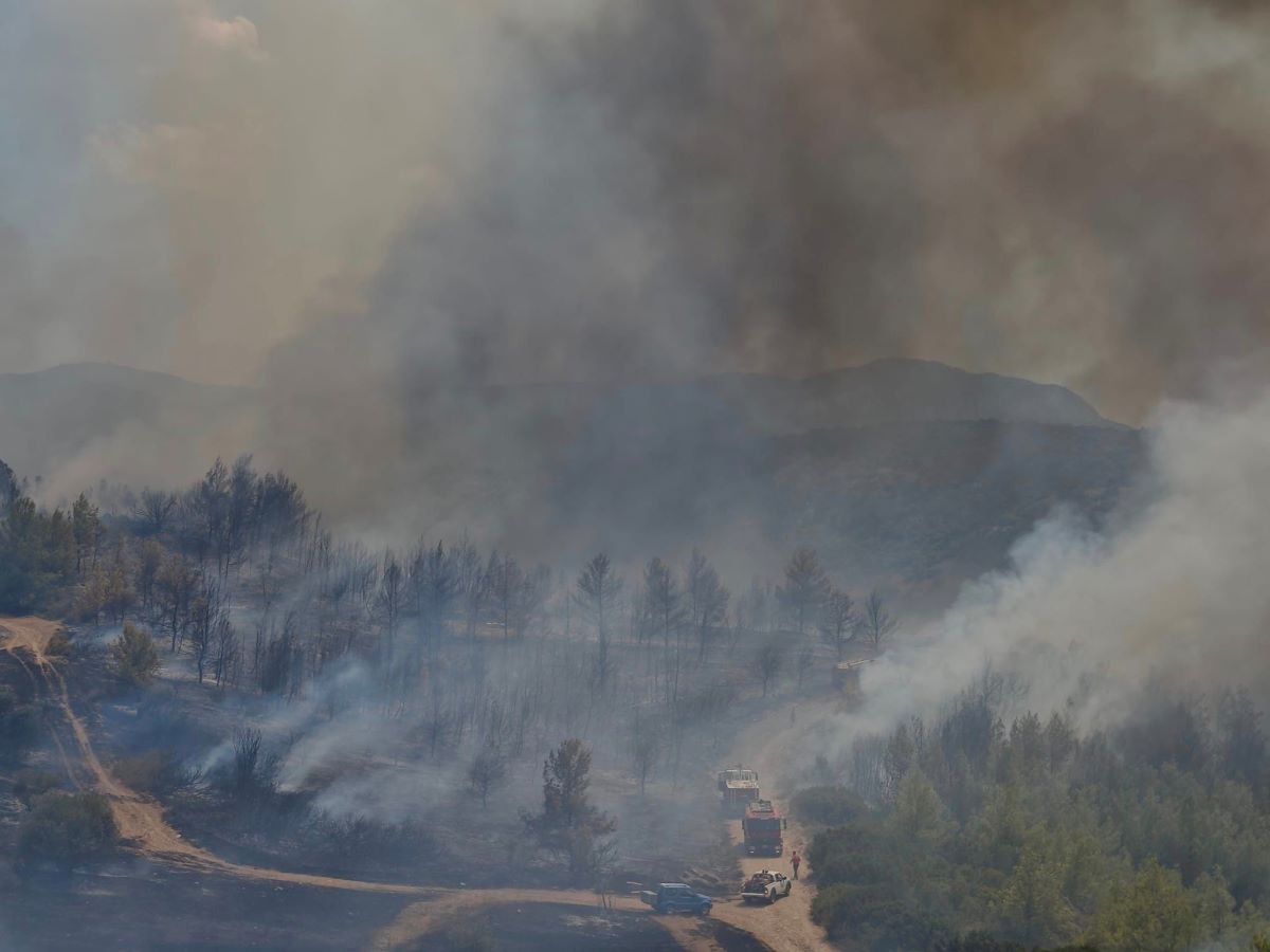 Φωτιά στον Ωρωπό: Μεγάλη κινητοποίηση της Πυροσβεστικής – Μήνυμα από το 112