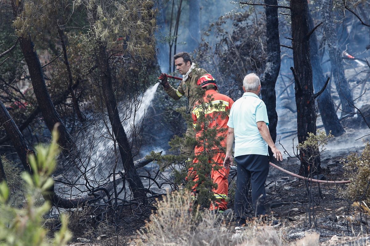 Γλυκά Νερά: Ποινική δίωξη για εμπρησμό από αμέλεια στον 35χρονο που συνελήφθη για τη φωτιά