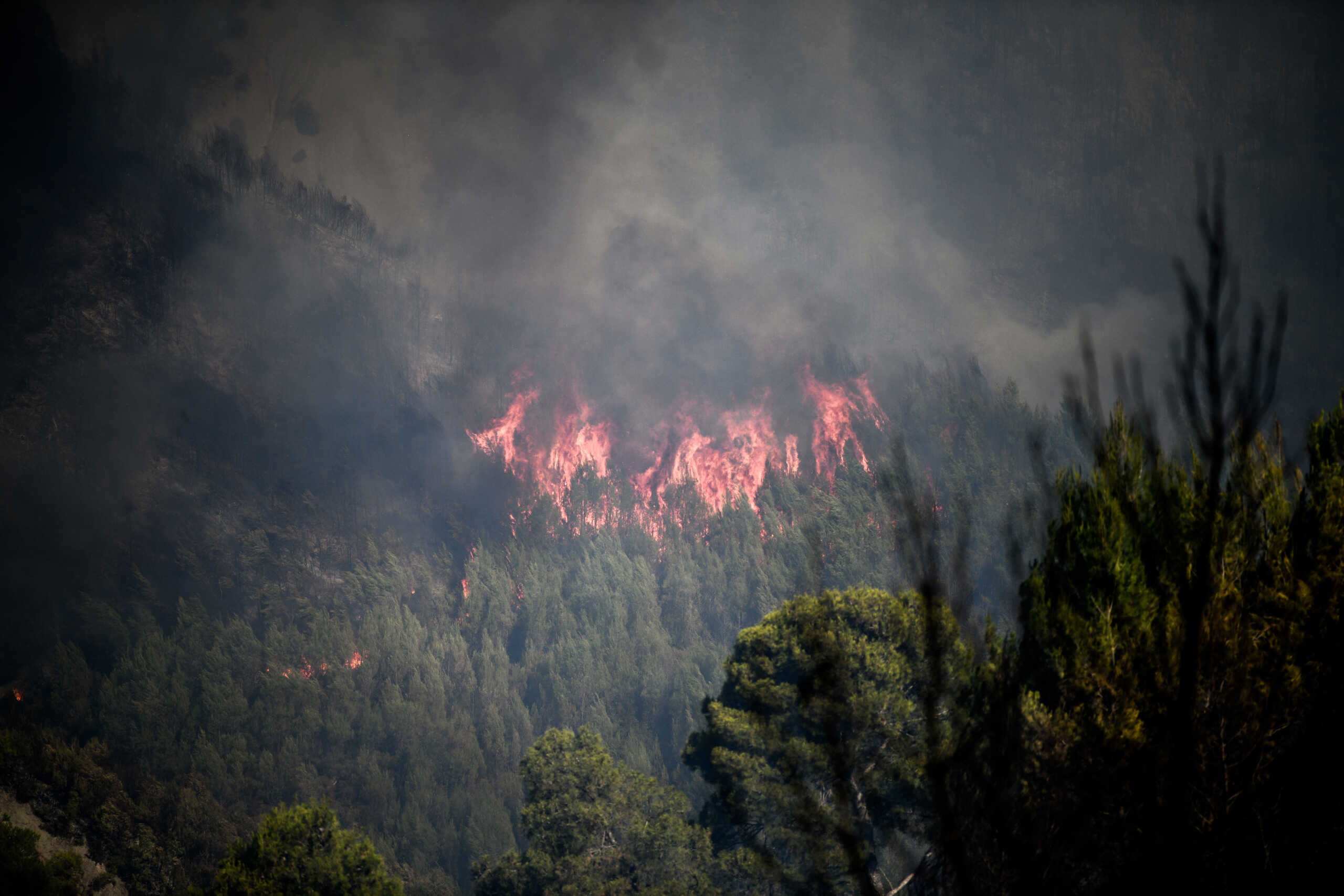 Φωτιά στην Ηλεία στην περιοχή του Βαρθολομιού: Σηκώθηκαν 3 αεροσκάφη