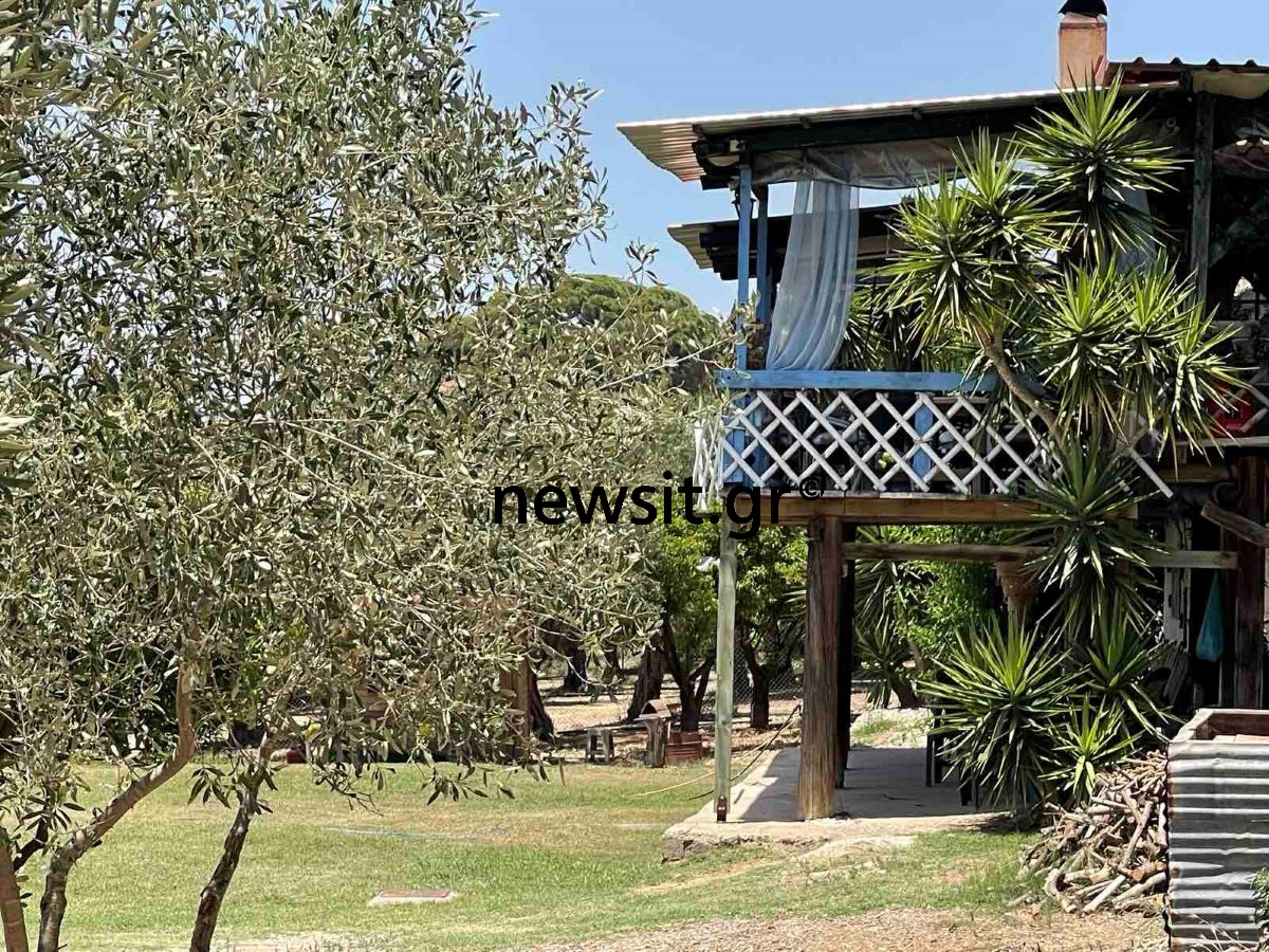 Ηλεία: «Συνεχείς οι καβγάδες λόγω αρρωστημένης ζήλειας» λένε μαρτυρίες για την 57χρονη που την έριξε ο πρώην σύντροφός της από το μπαλκόνι