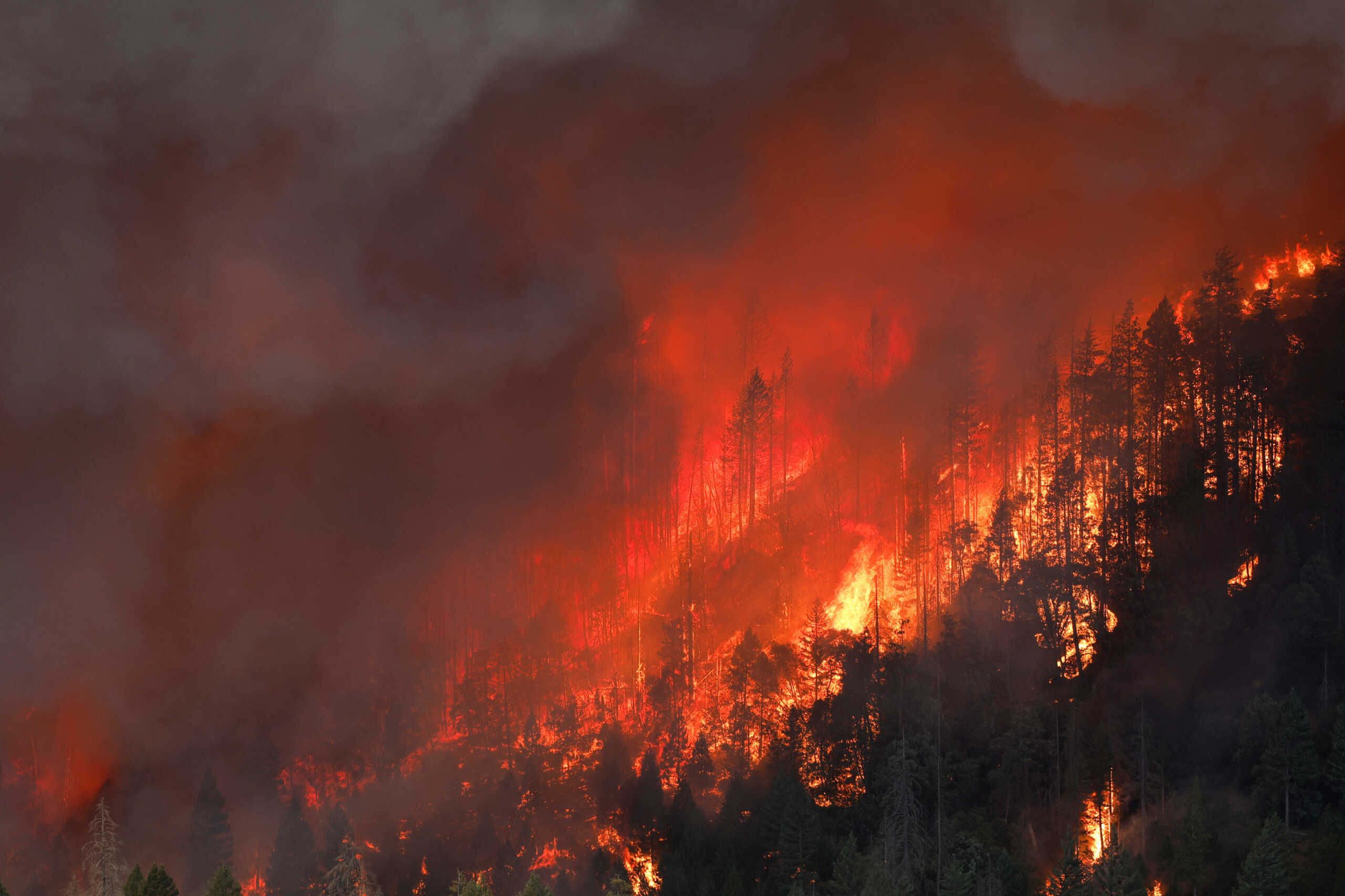 A wildfire is seen along Highway 32 near Butte Meadows, California, U.S. July 26, 2024. REUTERS