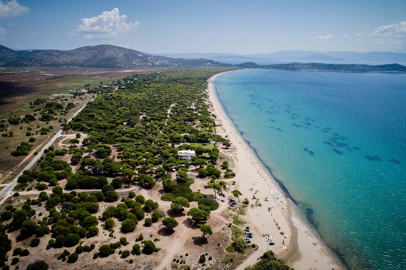 Παραλία Σχοινιάς: Η μεγαλύτερη και από τις καλύτερες της Αττικής