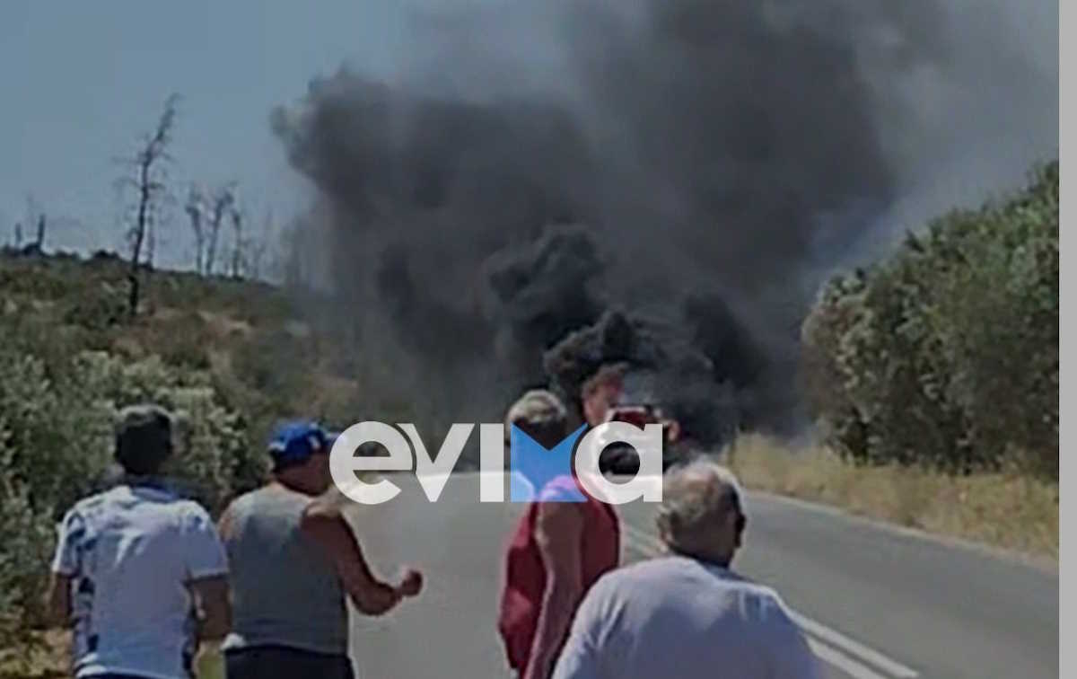 Εύβοια: Αυτοκίνητο «λαμπάδιασε» εν κινήσει στη Στροφυλιά