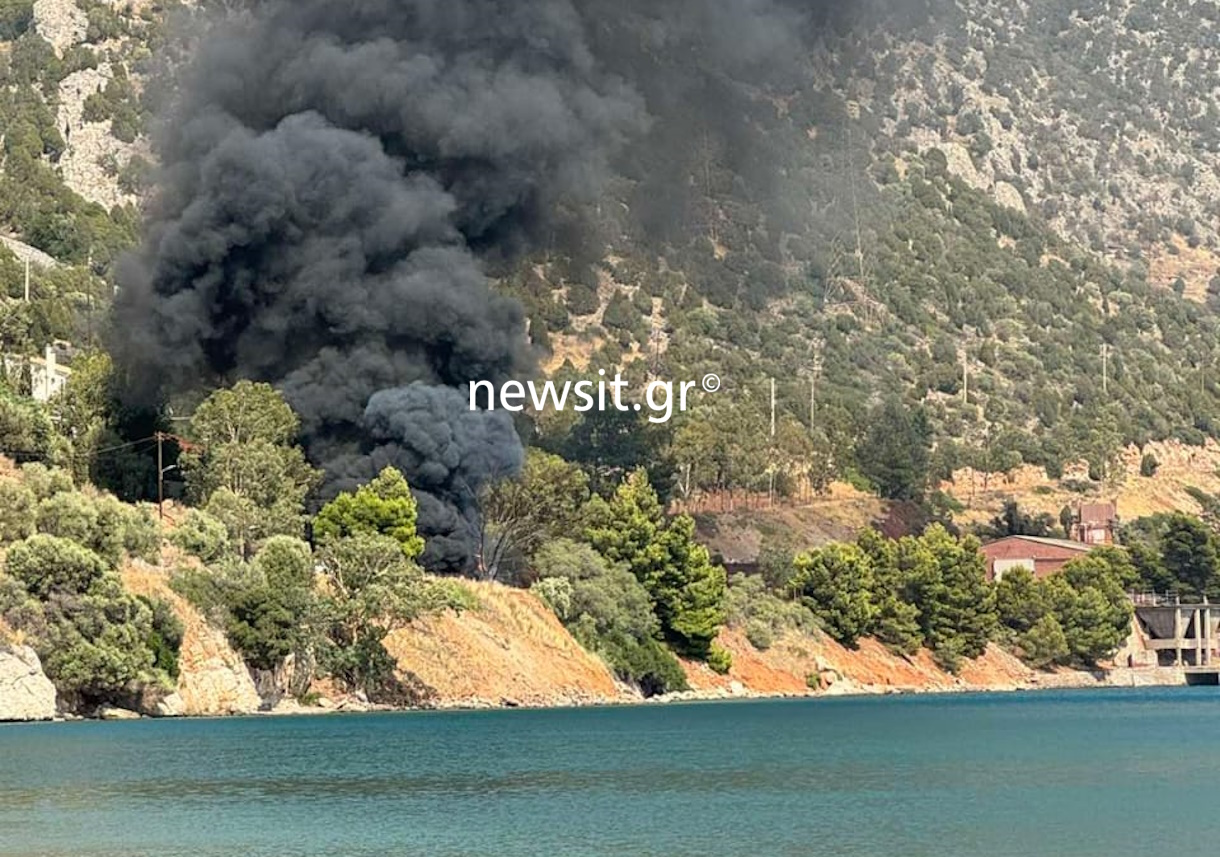 Βοιωτία: Φορτηγό έπεσε σε γκρεμό στα Άσπρα Σπίτια και έπιασε φωτιά, νεκρός ο οδηγός