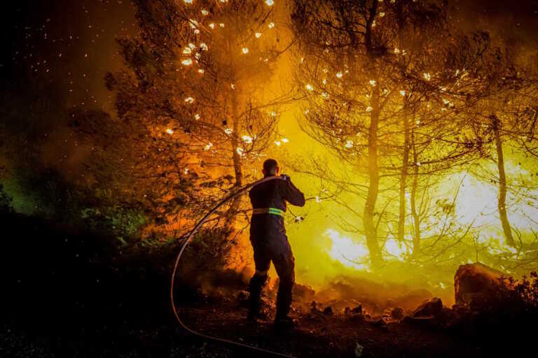 Περισσότερα από 17.700 στρέμματα κάηκαν από τις φωτιές σε Πισσώνα και Πετριές Ευβοίας
