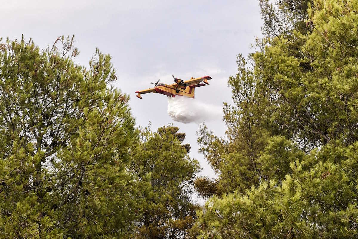 Πυρκαγιά στο Σοφικό Κορινθίας, Τρίτη 23 Ιουλίου 2024. 
(ΒΑΣΙΛΗΣ ΨΩΜΑΣ