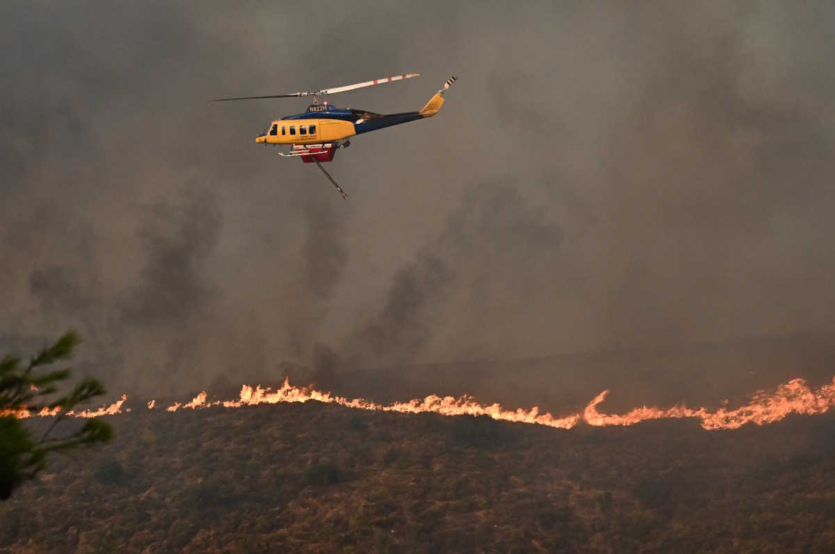 Πυρκαγιά στον Βαρνάβα Αττικής, Κυριακή 11 Αυγούστου 2024 (ΚΩΣΤΑΣ ΤΖΟΥΜΑΣ