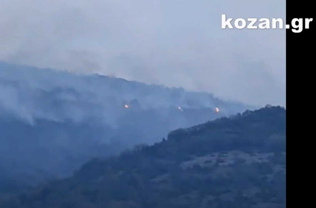 Κοζάνη: Φωτιά έκαψε δάσος στα Κομνηνά Εορδαίας
