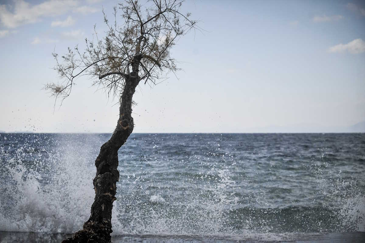 Κύματα χτυπάνε με δύναμη ένα παγκάκι και ένα δέντρο στην παραλία της Μηλίνας του νότιου Πηλίου κατα την διάρκεια φουρτούνας στην θάλασσα. 
(EUROKINISSI
