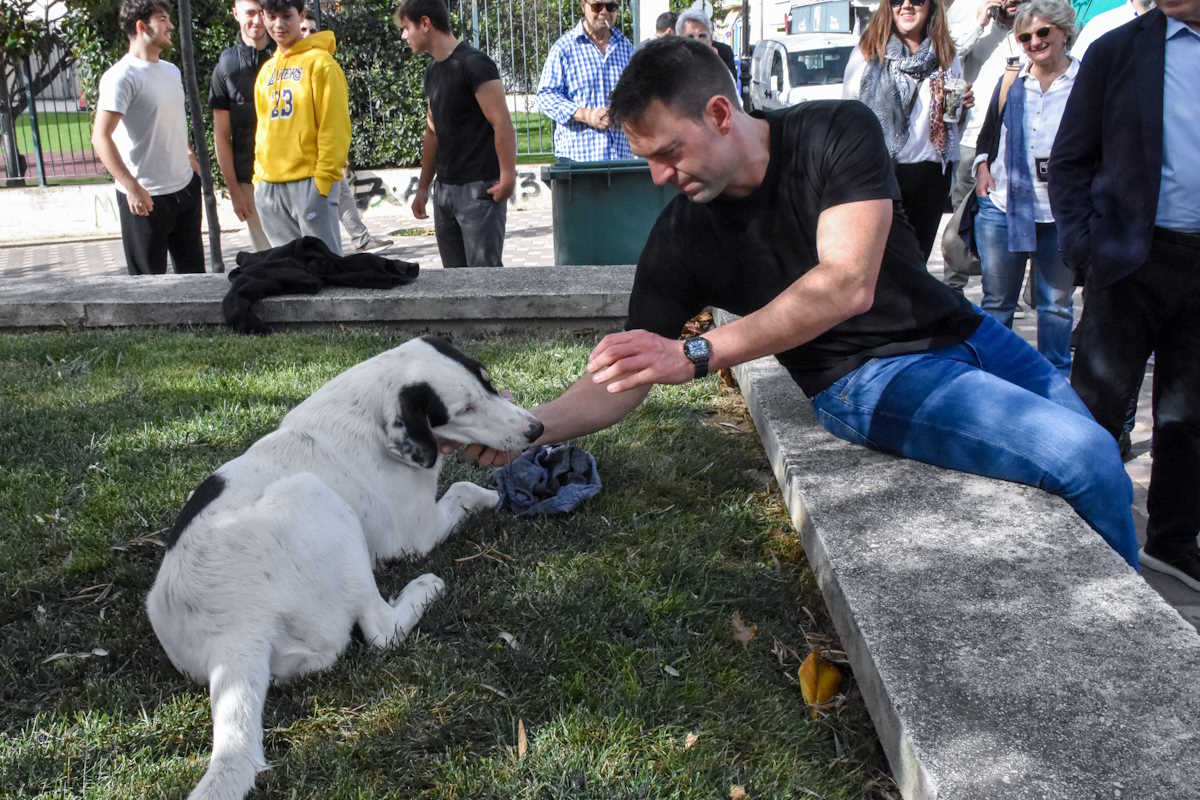 Επίσκεψη του προέδρου του ΣΥΡΙΖΑ ΠΣ Στέφανου Κασσελάκη στη Κόρινθο. Νεμέα. Σάββατο 4 Νοεμβρίου 2023 (ΒΑΣΙΛΗΣ ΠΑΠΑΔΟΠΟΥΛΟΣ