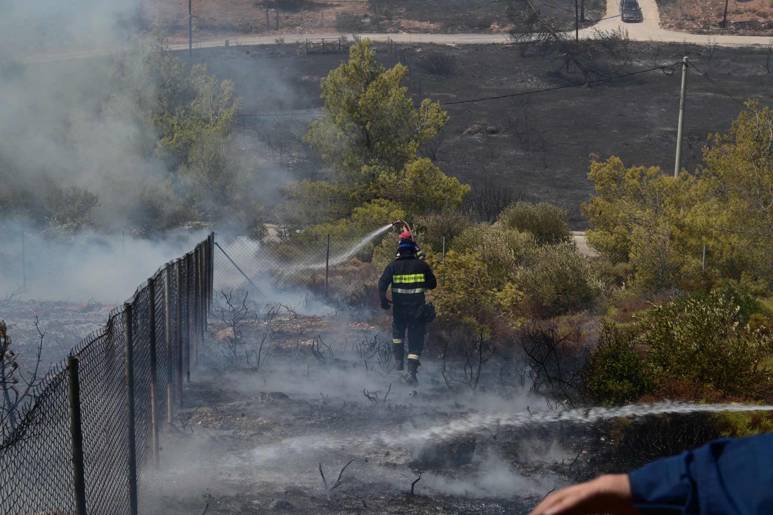 Πυρκαγιά στη Βορειοανατολική Αττική. Δευτέρα 12 Αυγούστου 2024  (ΤΑΤΙΑΝΑ ΜΠΟΛΑΡΗ